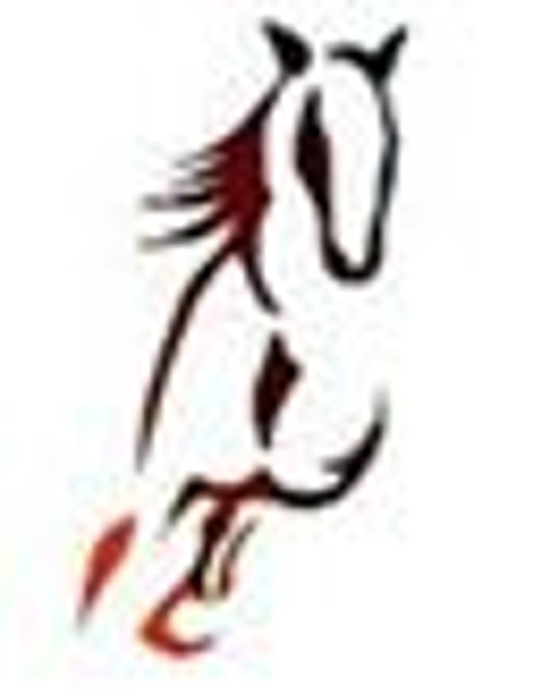 Harding Heights Ranch Ltd.