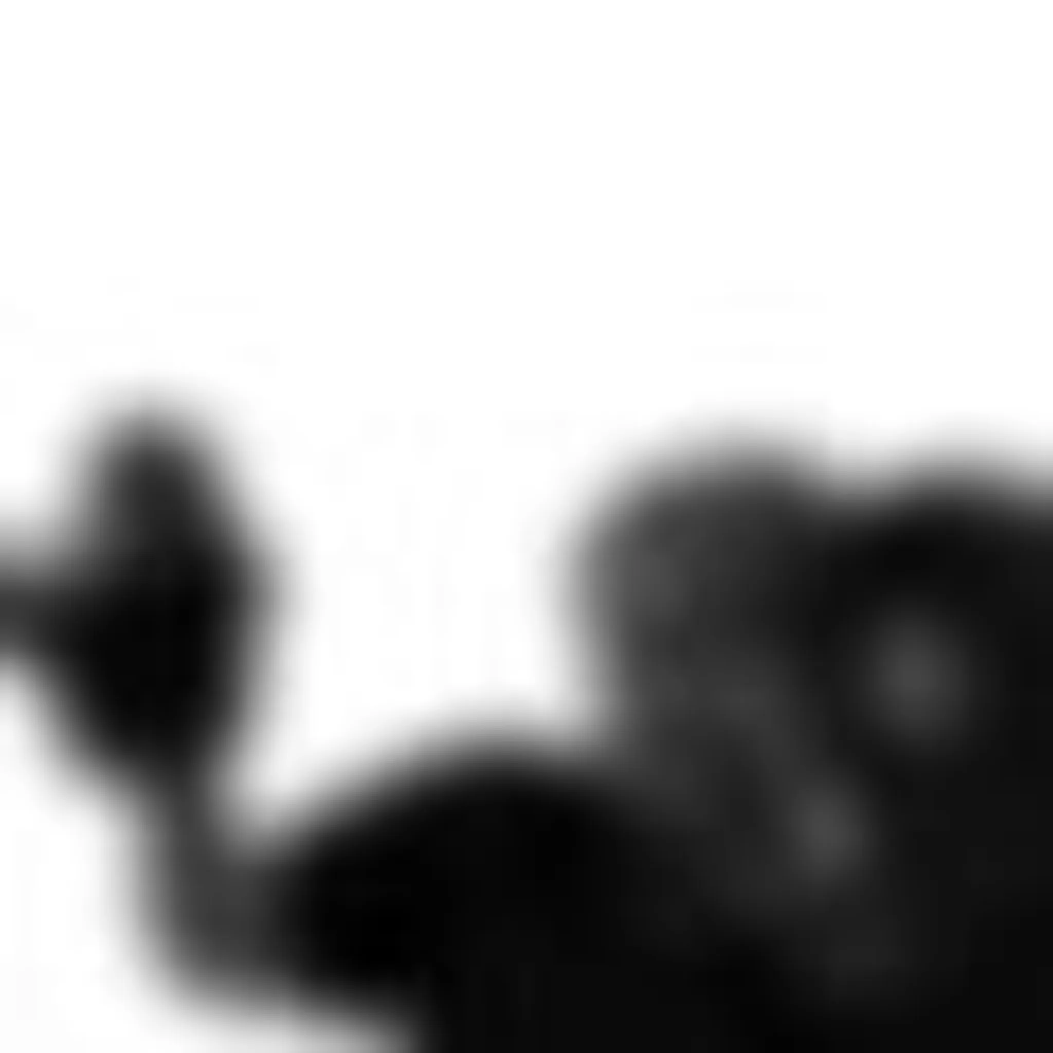 Contemporary Pilates