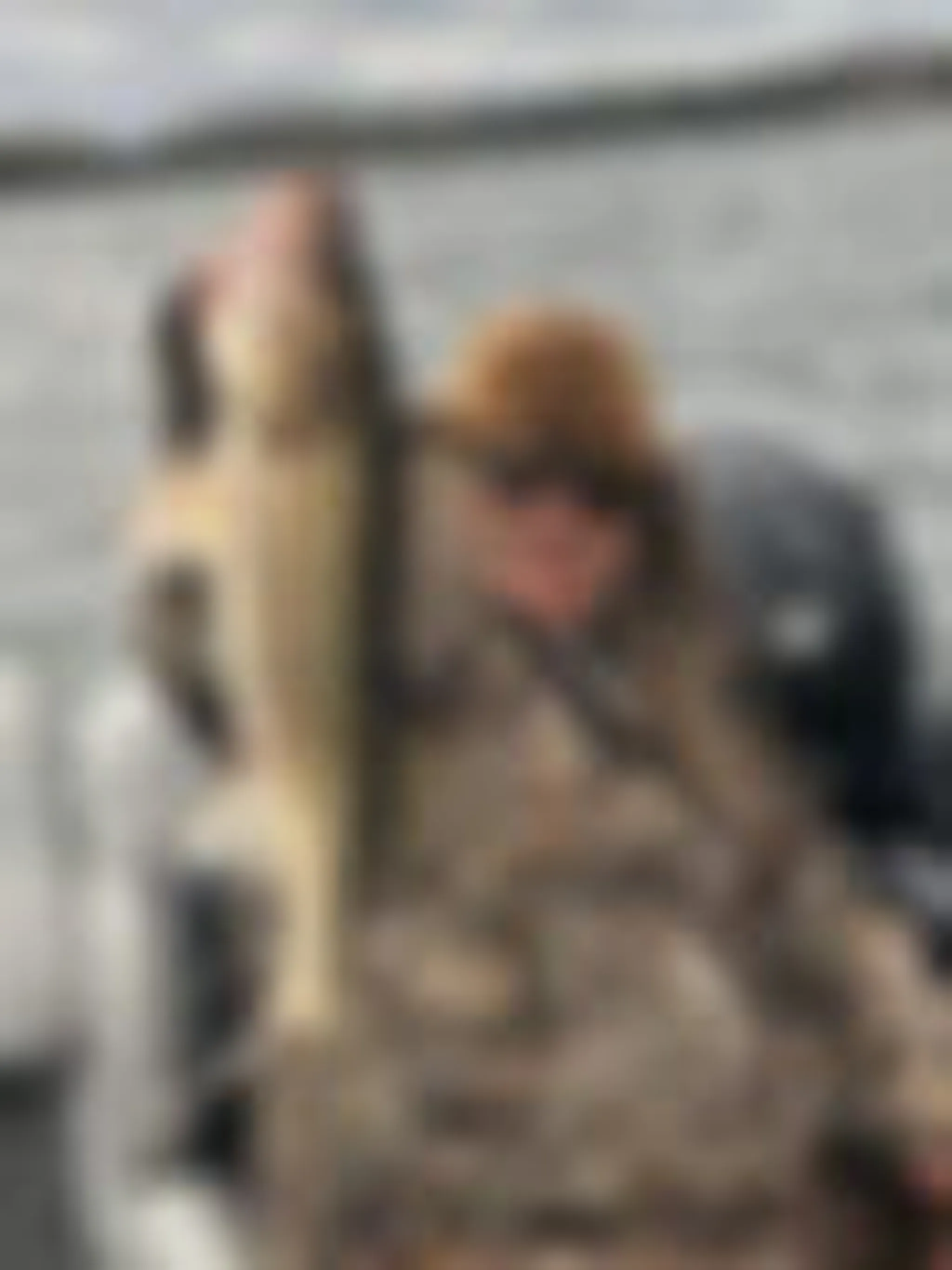 Dean Howard's Guiding