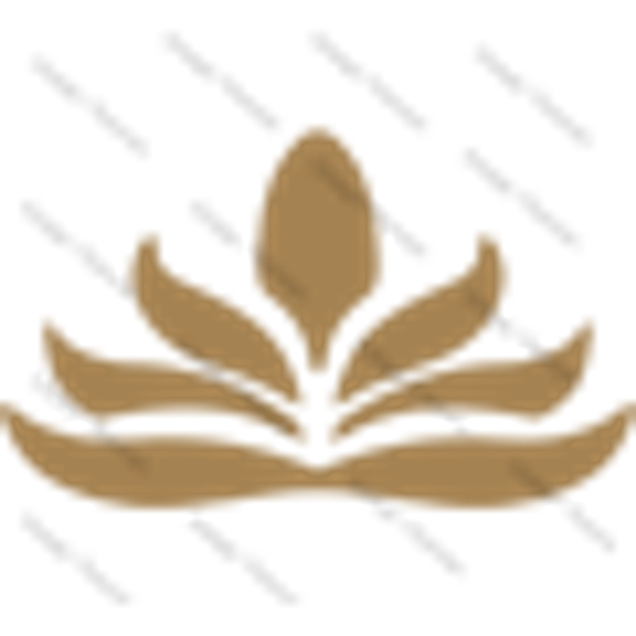 New Earth Womens Wellbeing Sanctuary