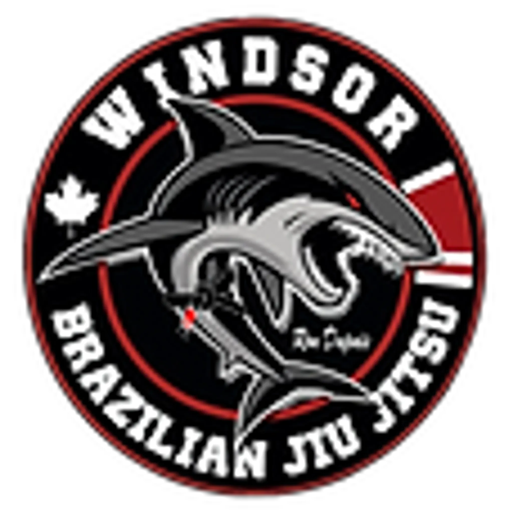 Windsor Brazilian Jiu-jitsu