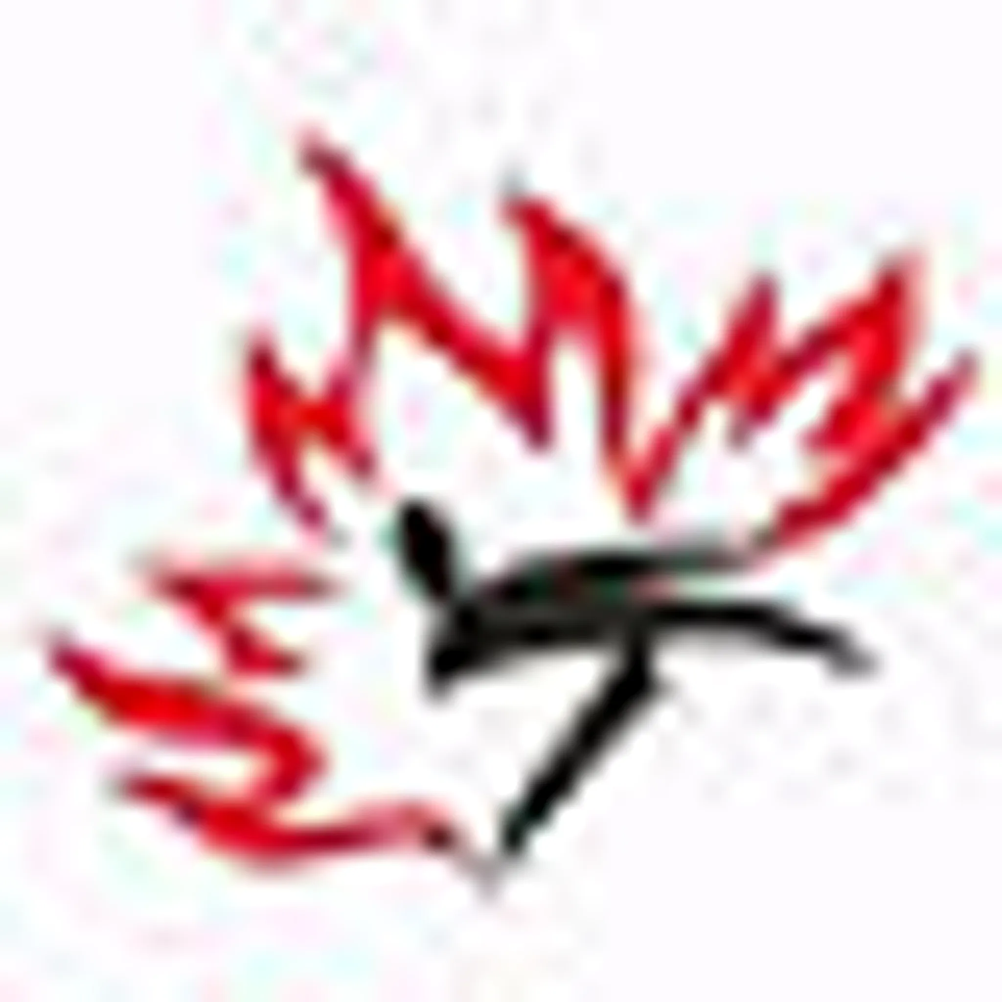 Wu's Taekwondo School