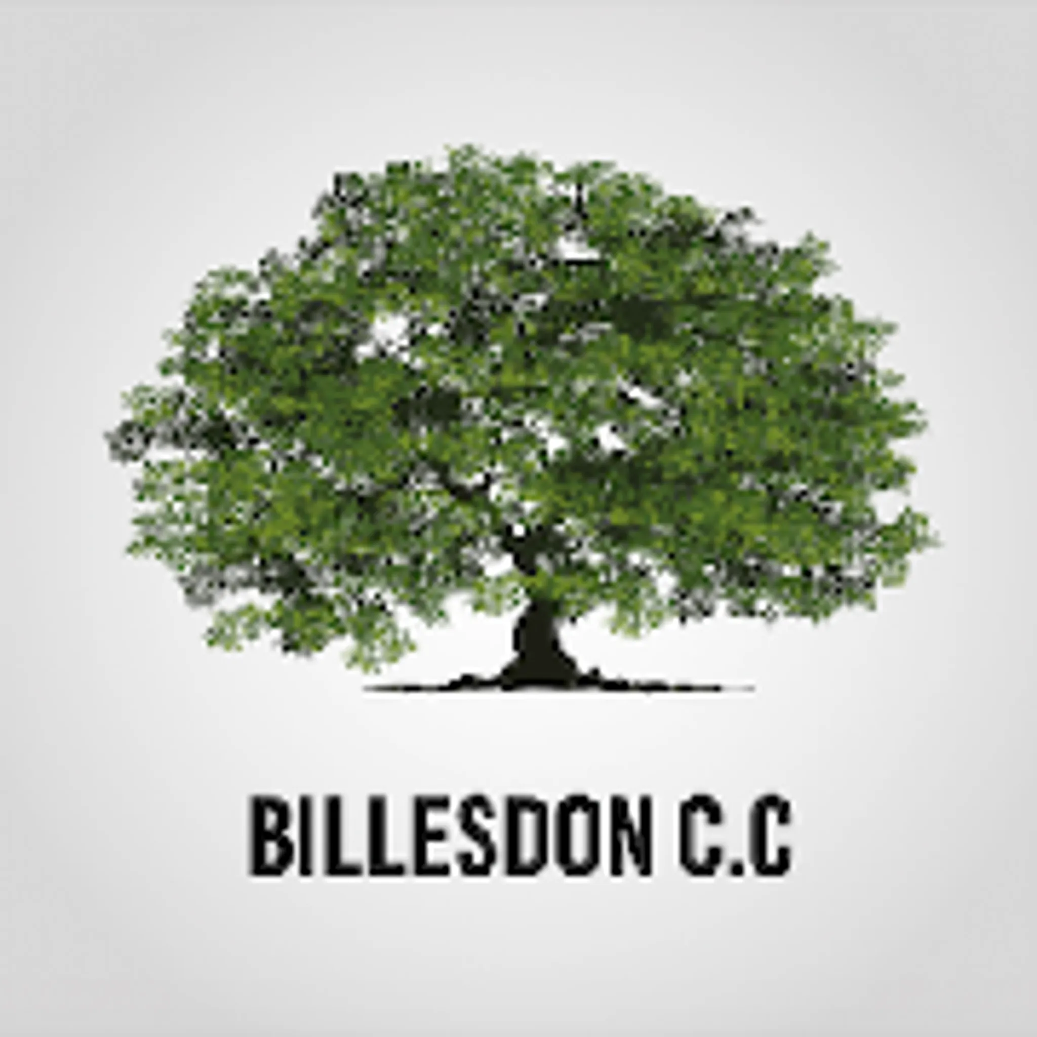 Langton Cricket Club