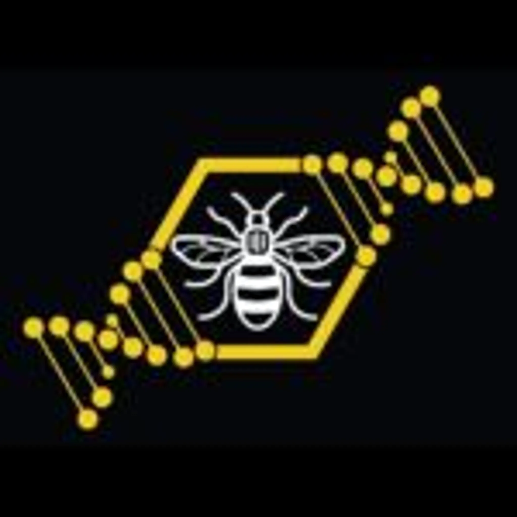 Crossfit Central Manchester