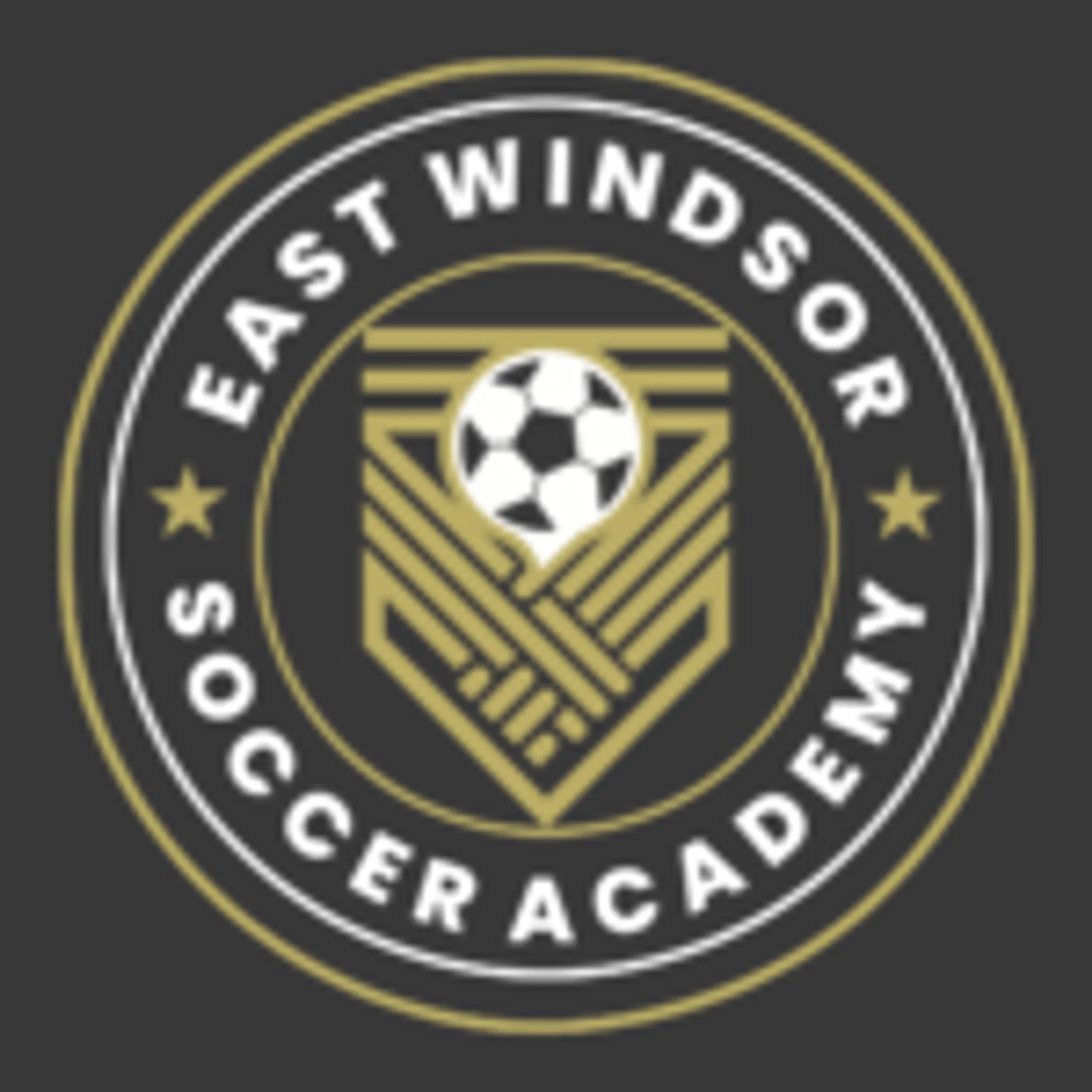 Windsor Soccer Academy