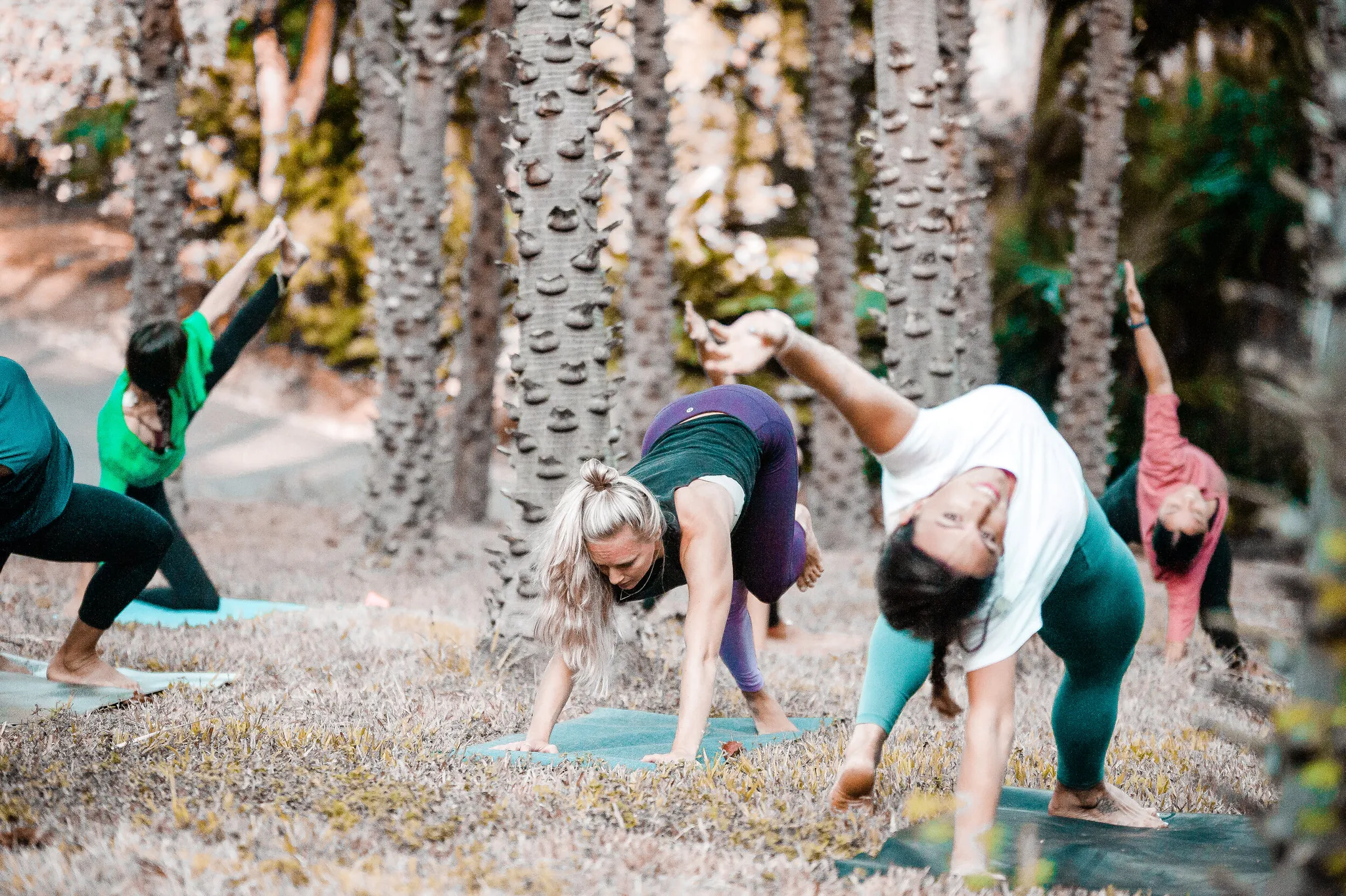 Breathwork & Meditation