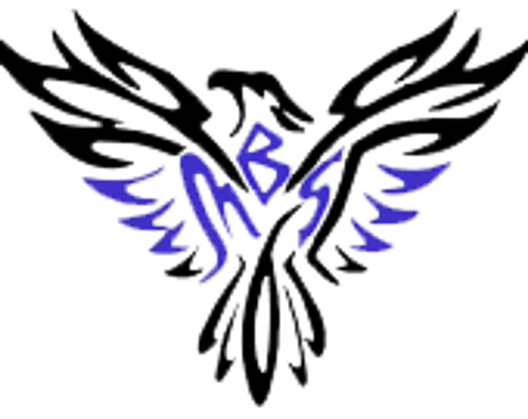 MBS Fitness & Rehabilitation