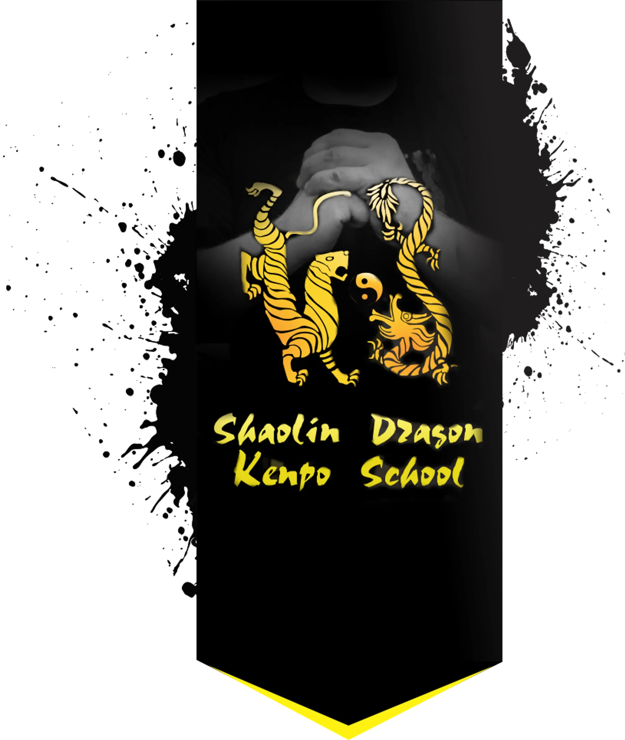 Shaolin Dragon Kenpo School