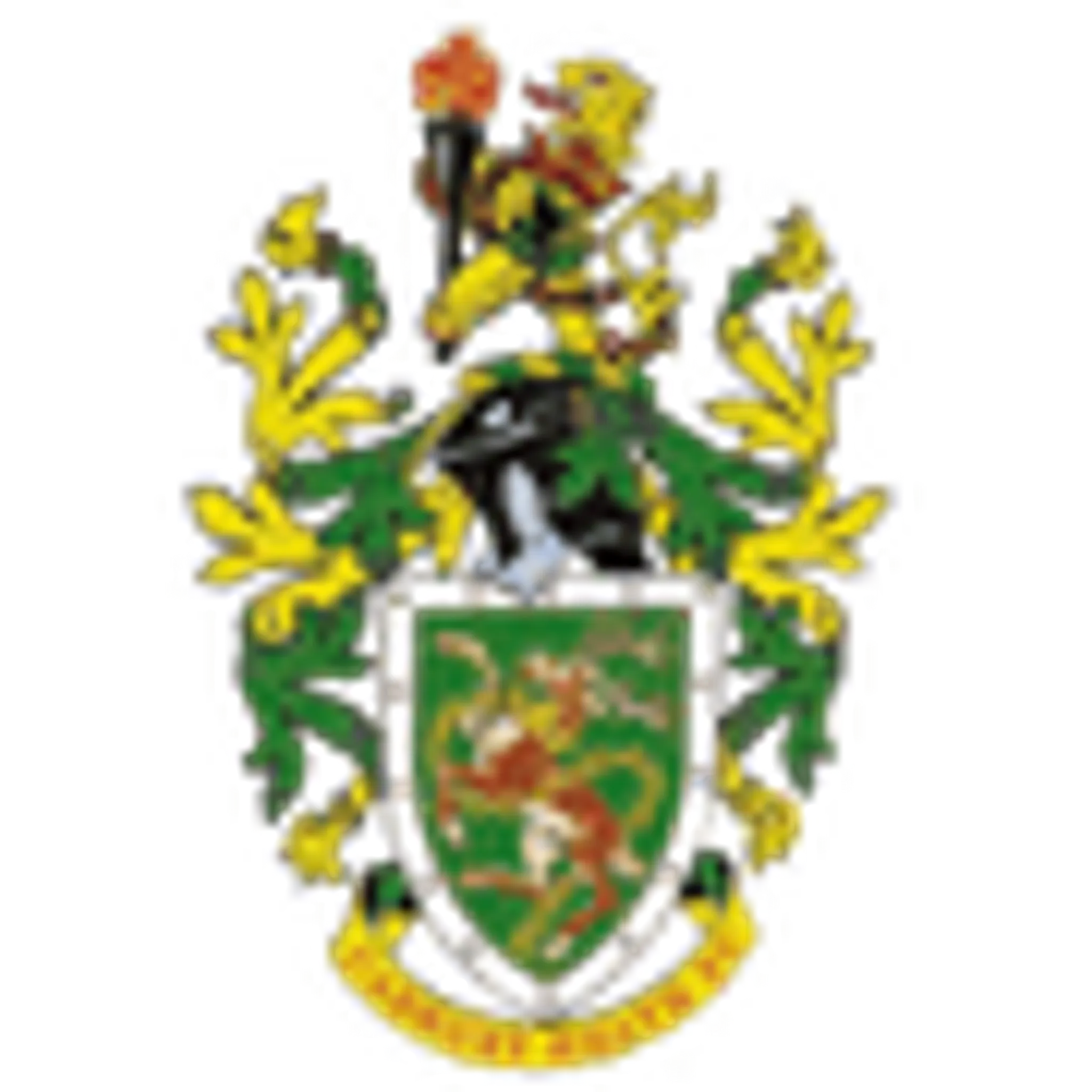 Cadbury Heath Football Club