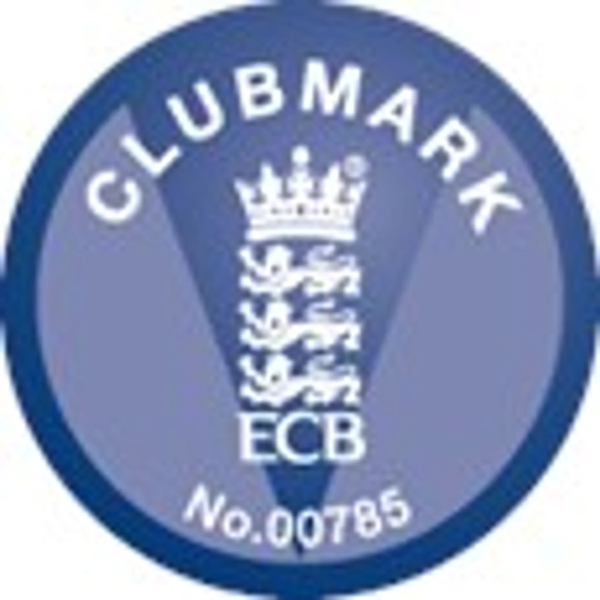 Stalbridge Cricket Club