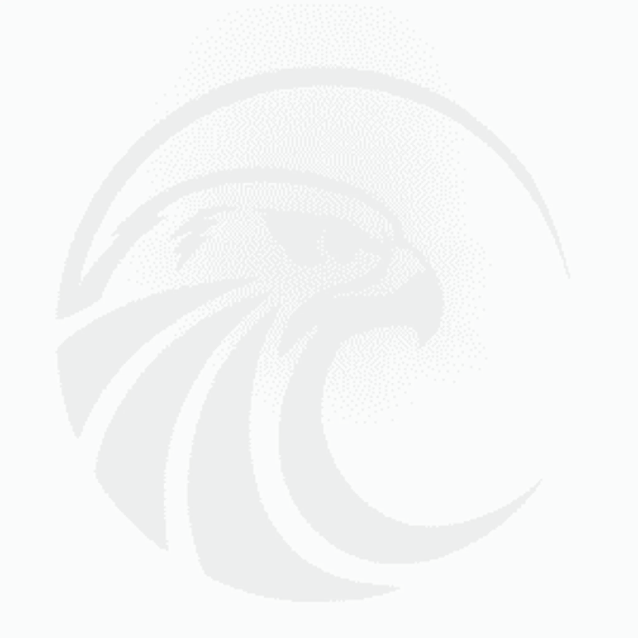 Focus Martial Arts & Fitness