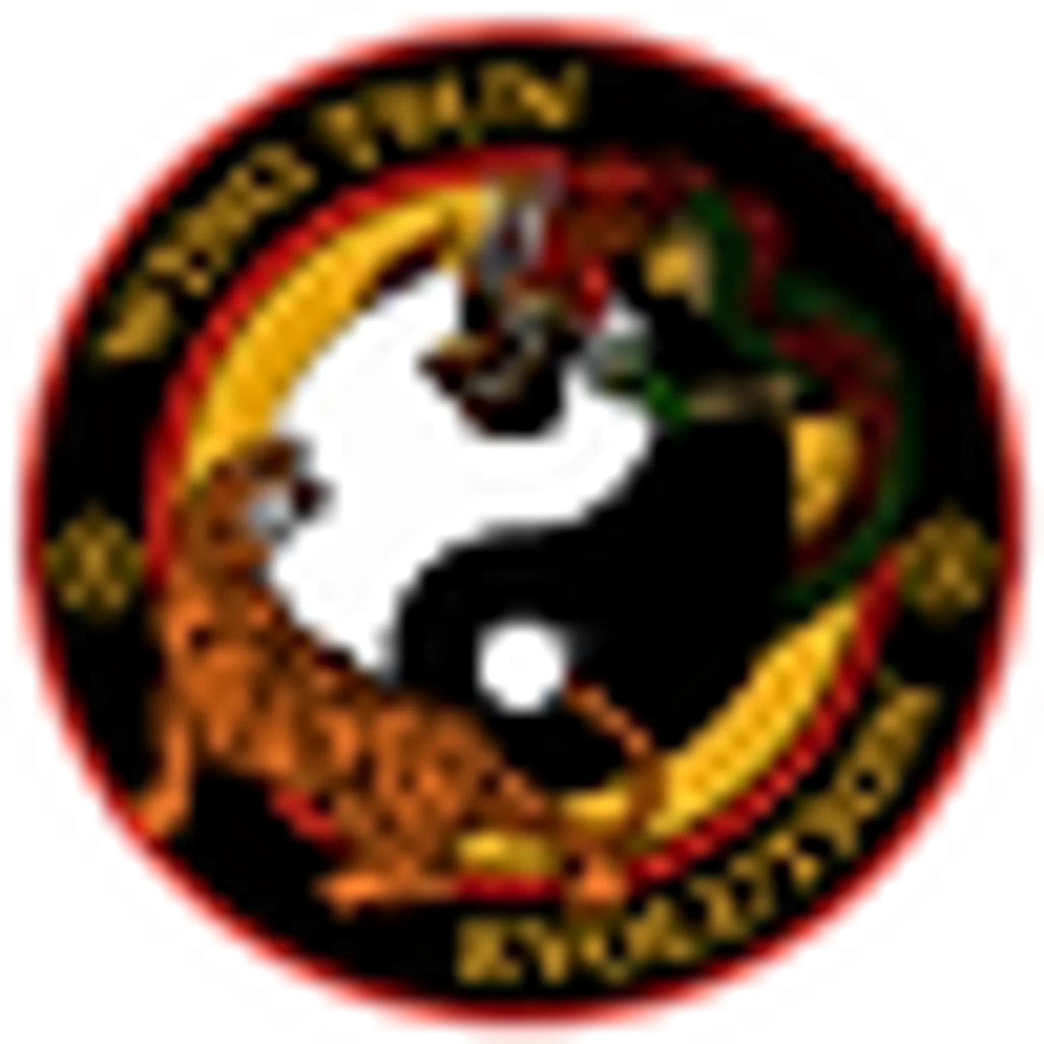 Academy Wing Tsun Evolution