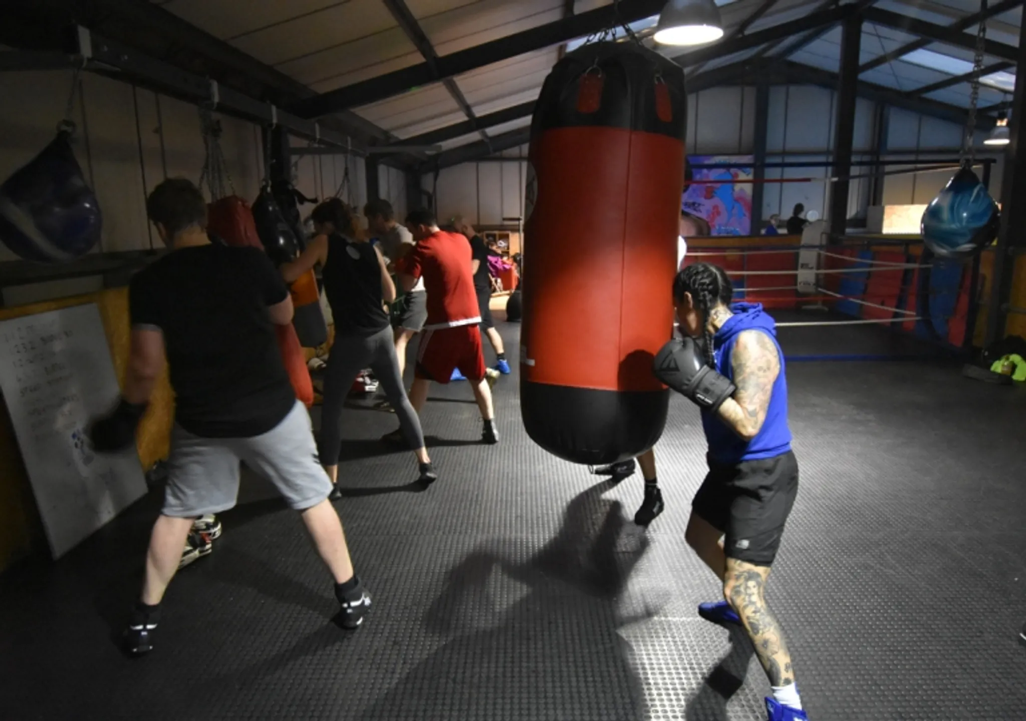 Suffolk Punch boxing club
