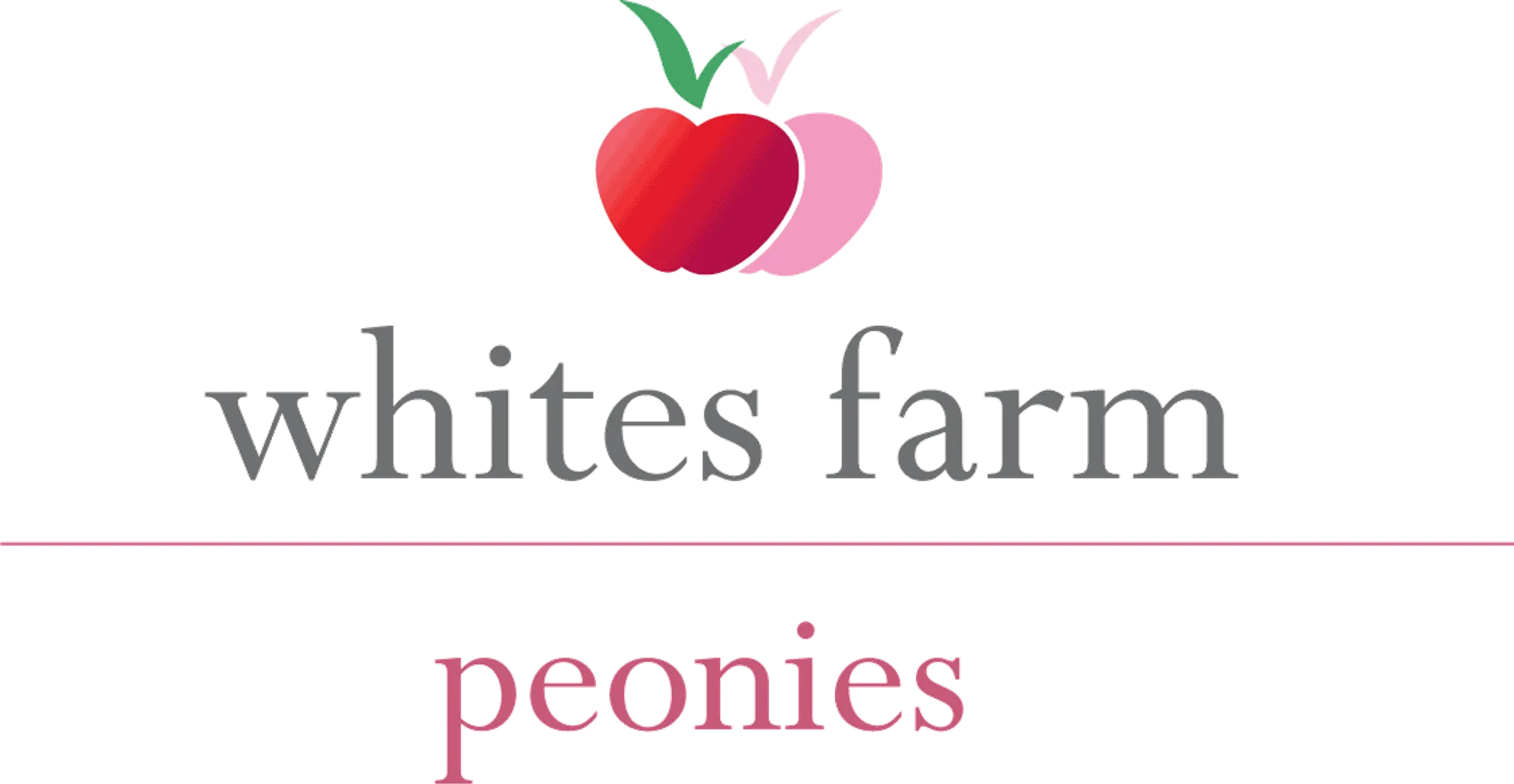 Whites Farm Swimming Pool