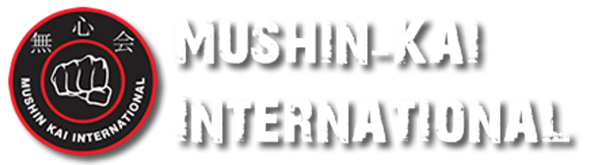 Mushin-Kai International - Karate, Jujitsu, Self Defense Karate school