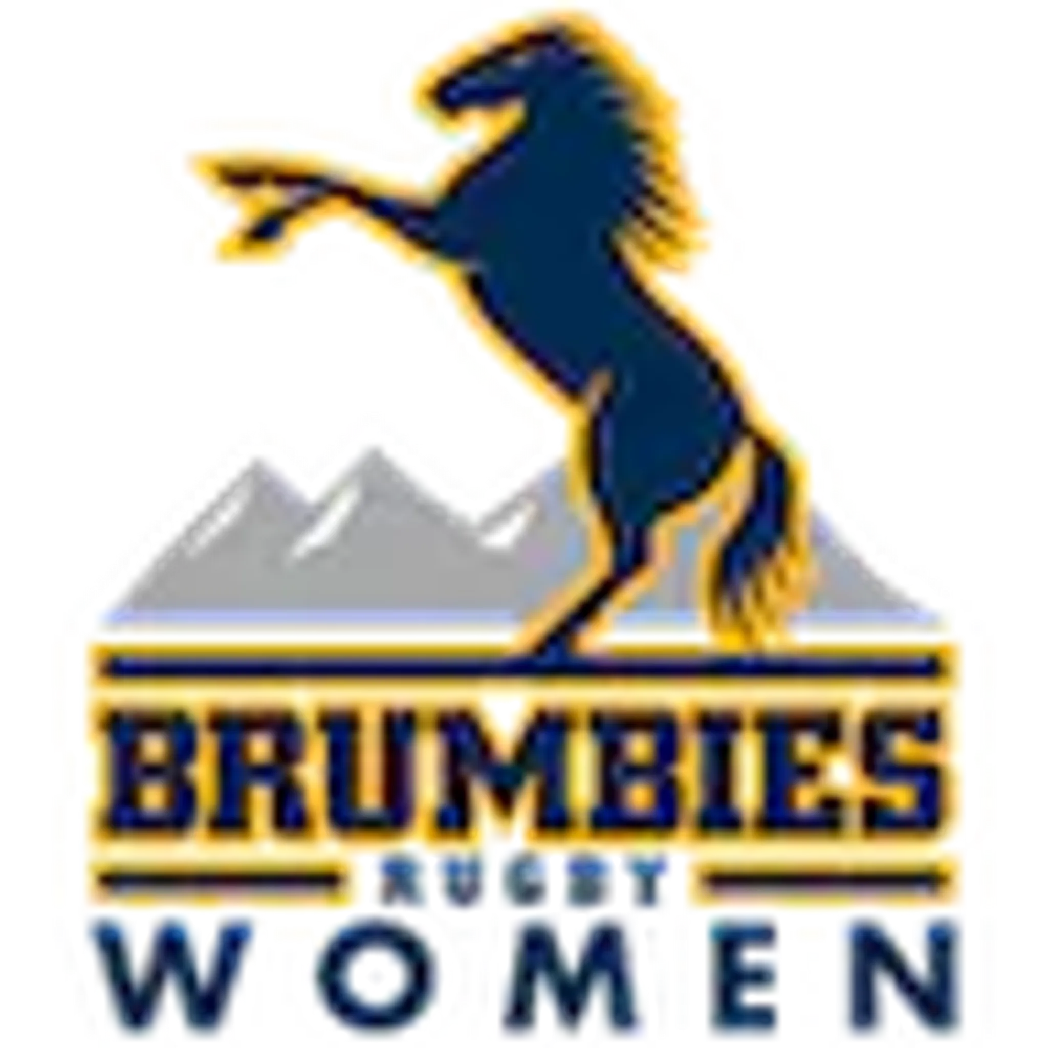 Brumbies