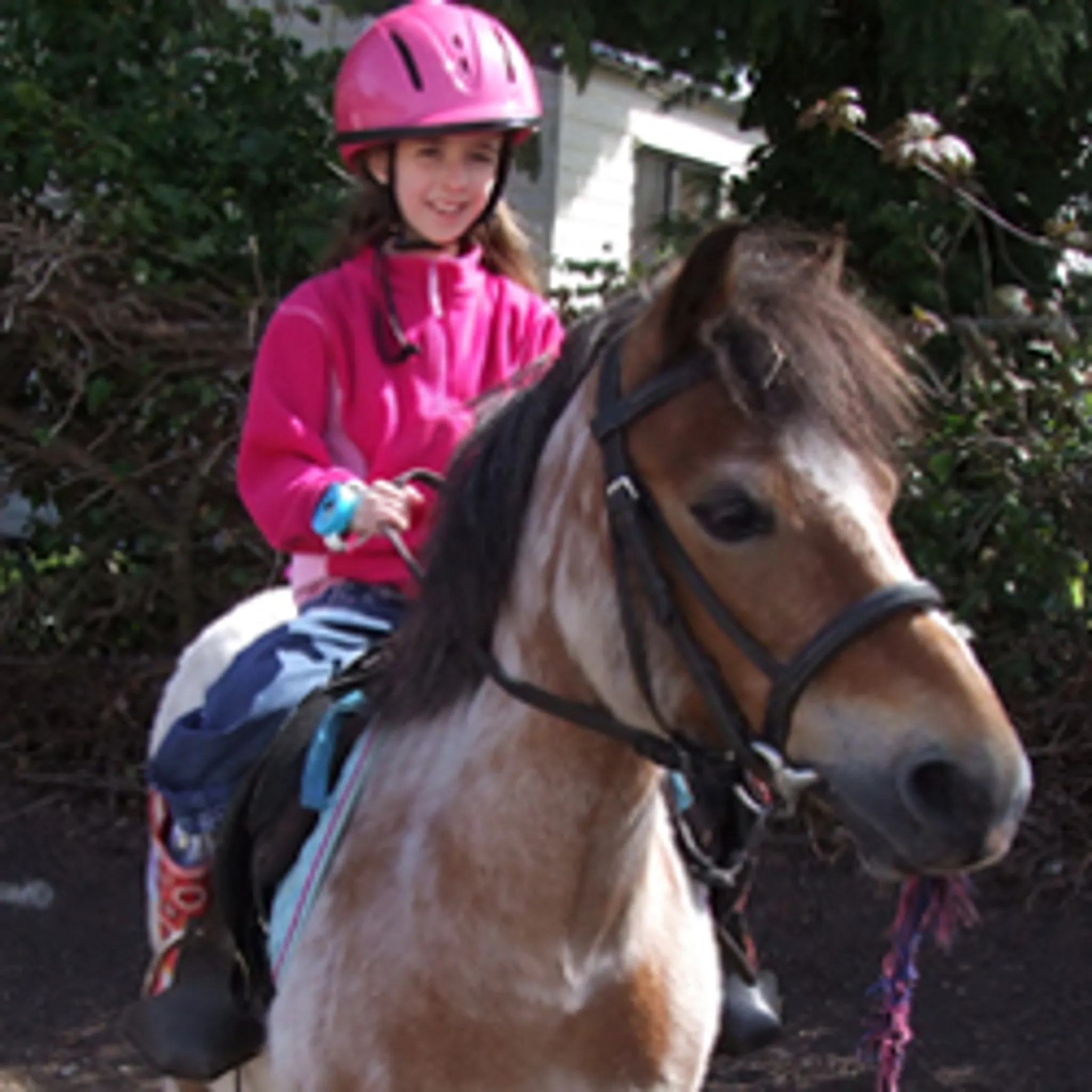 Horse Riding Activities In Northumberland
