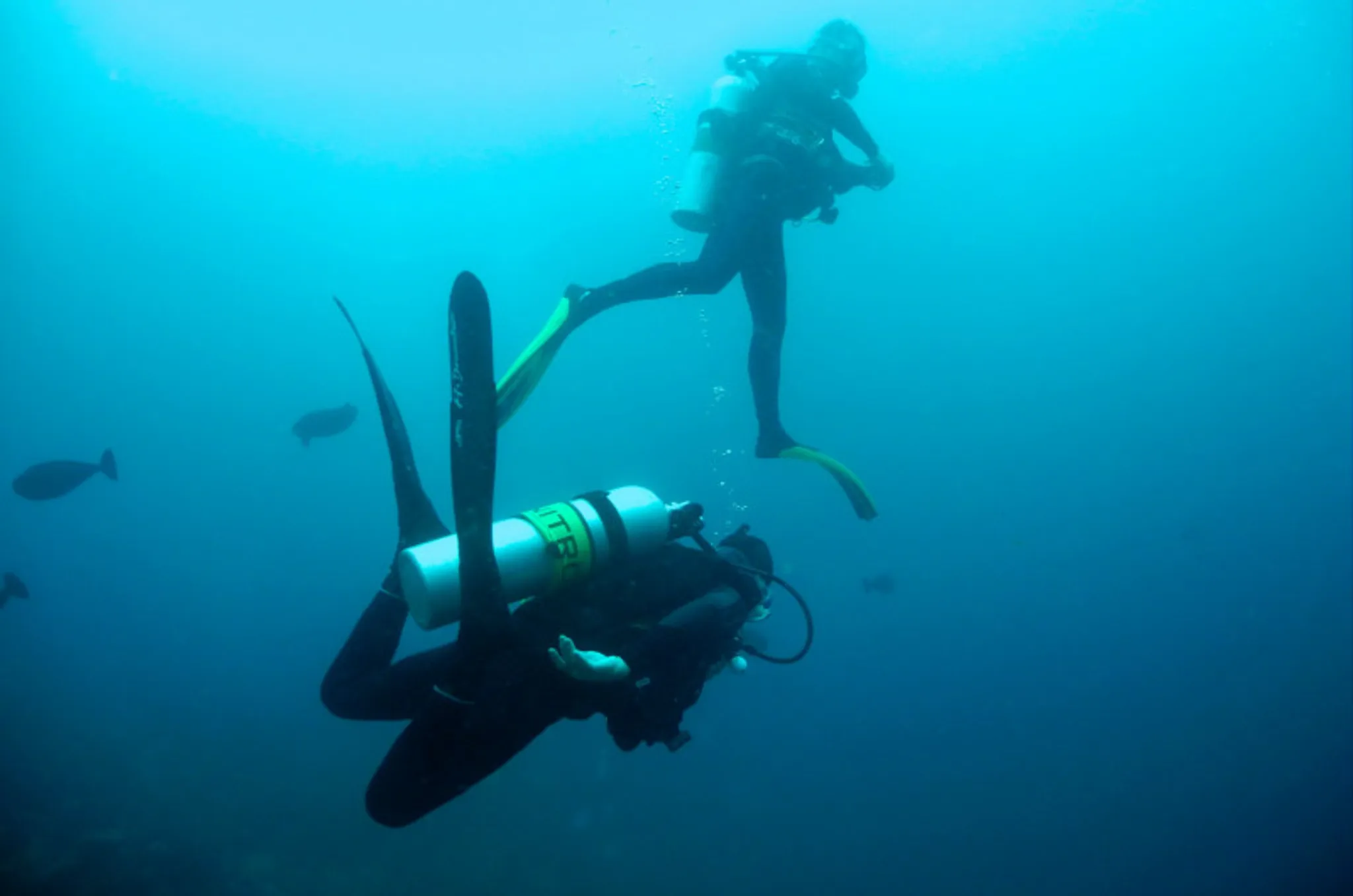 Entraînement de plongée