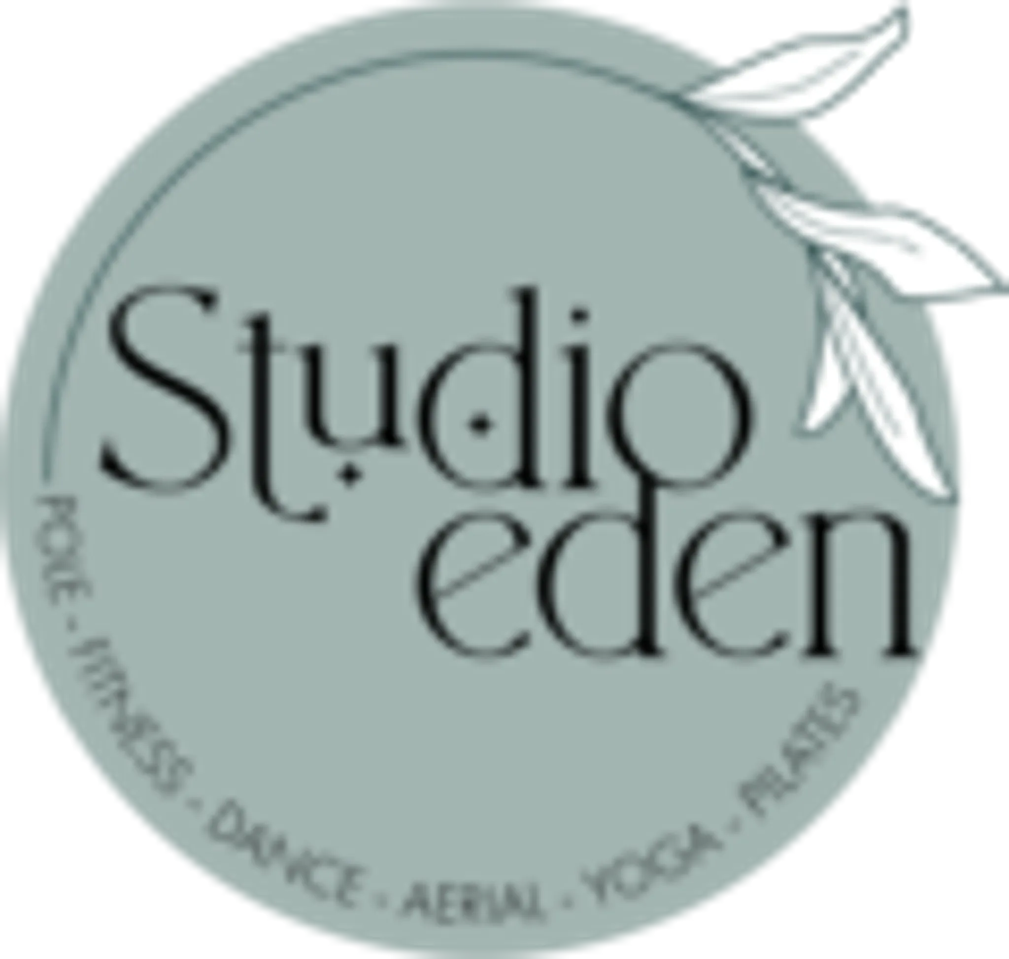 Studio Eden Pole and Fitness