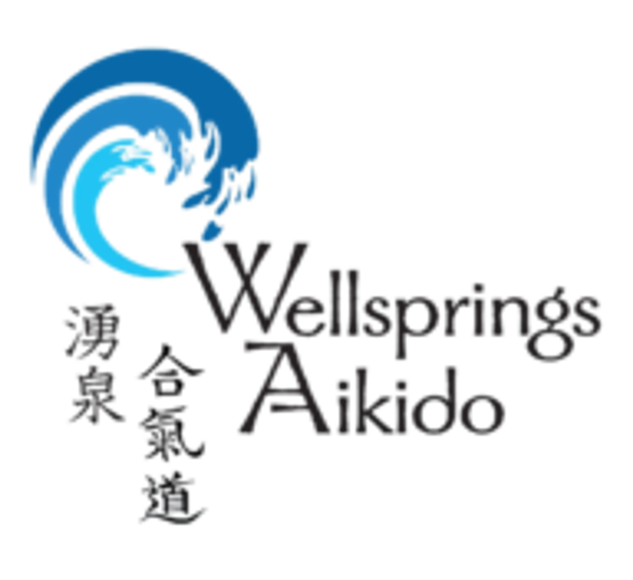 Wellsprings Aikido
