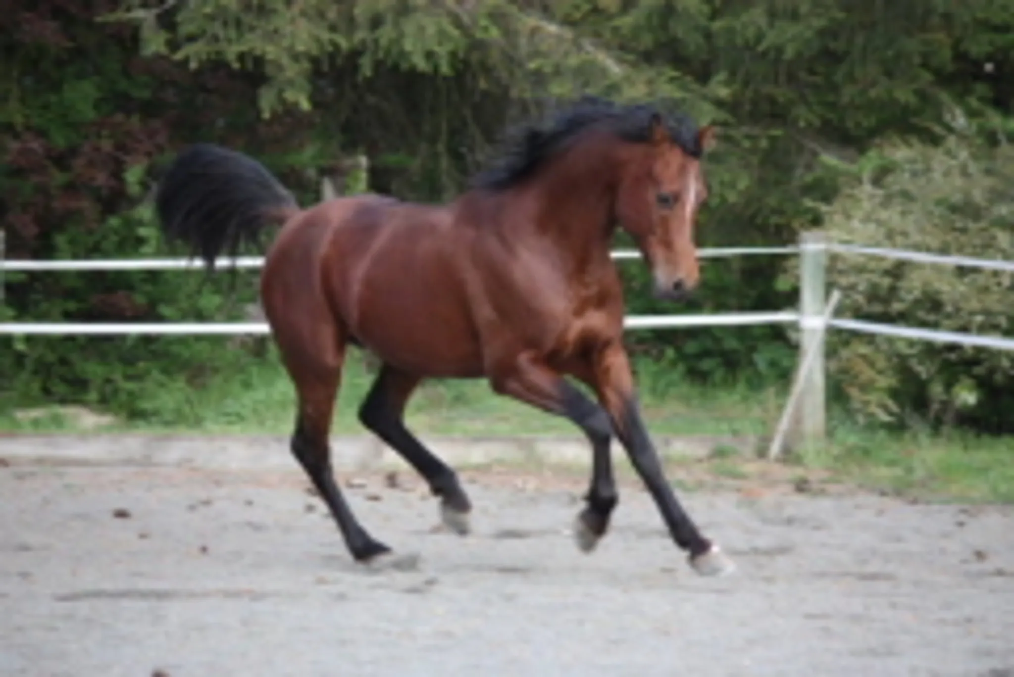 Les Rocs De La Serre