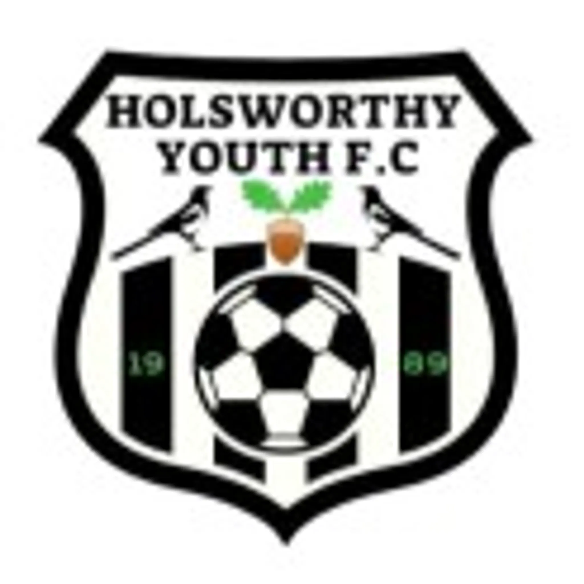 Holsworthy Football Club