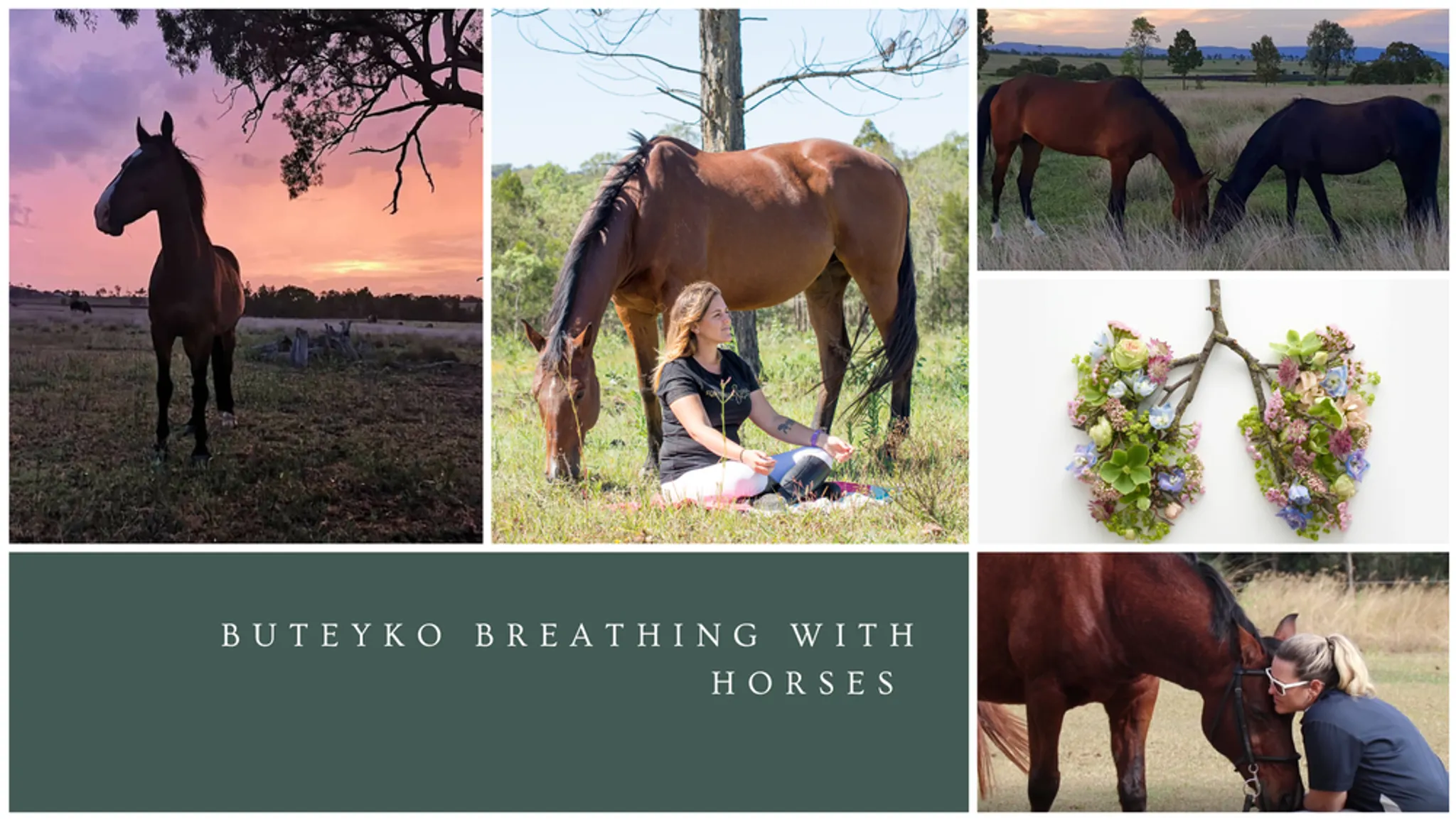 Buteyko Breathing with Horses