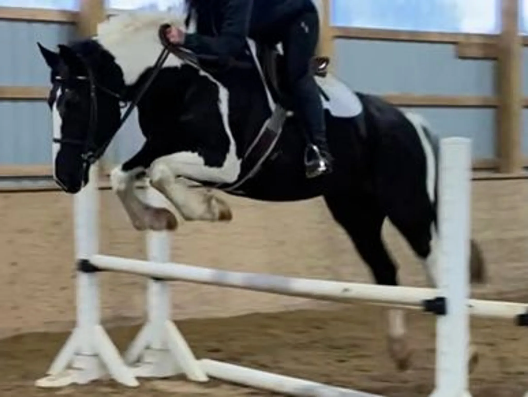 BR Equestrian Summer Day Camps and PA Day Camps