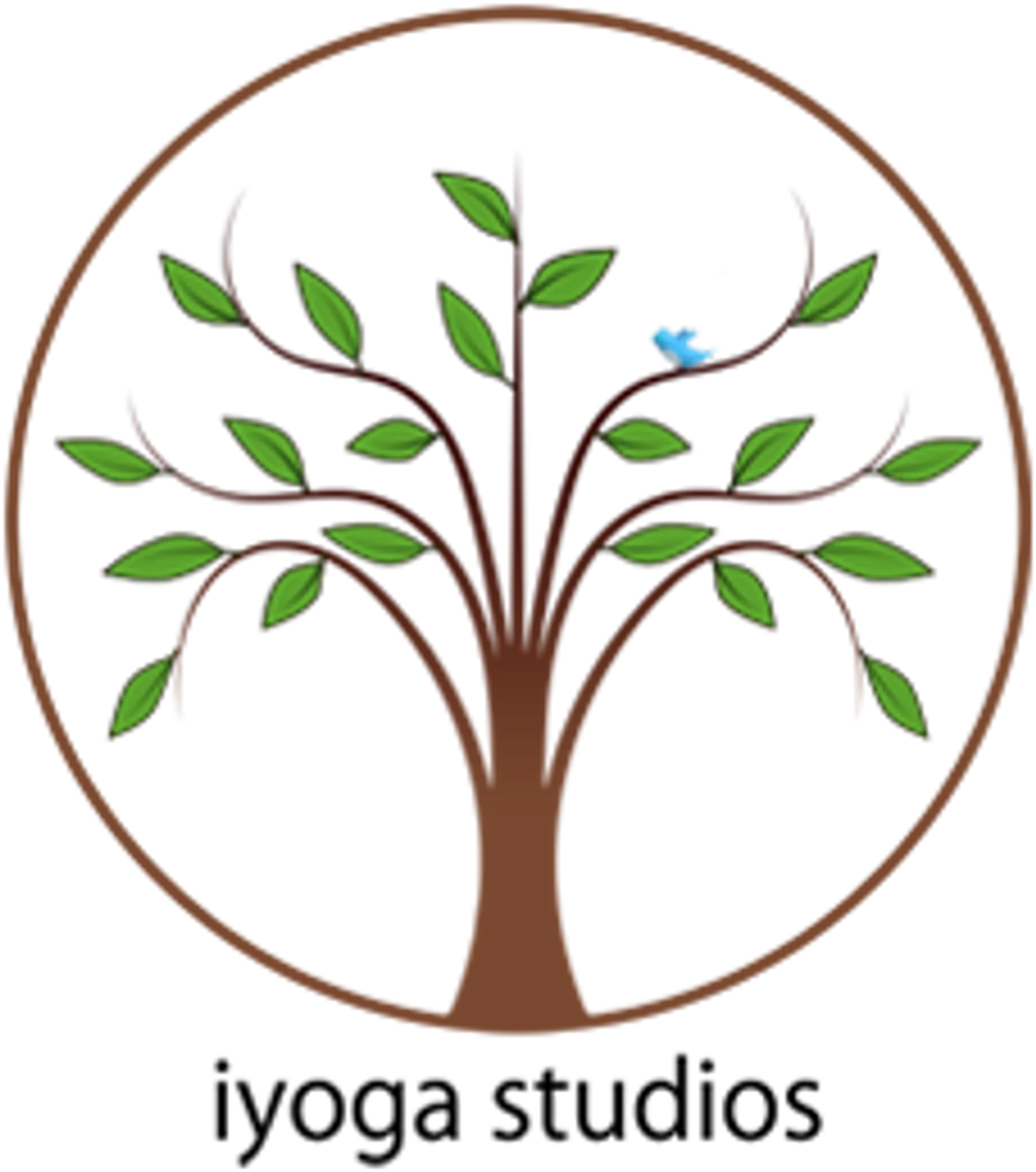 iYoga Studios