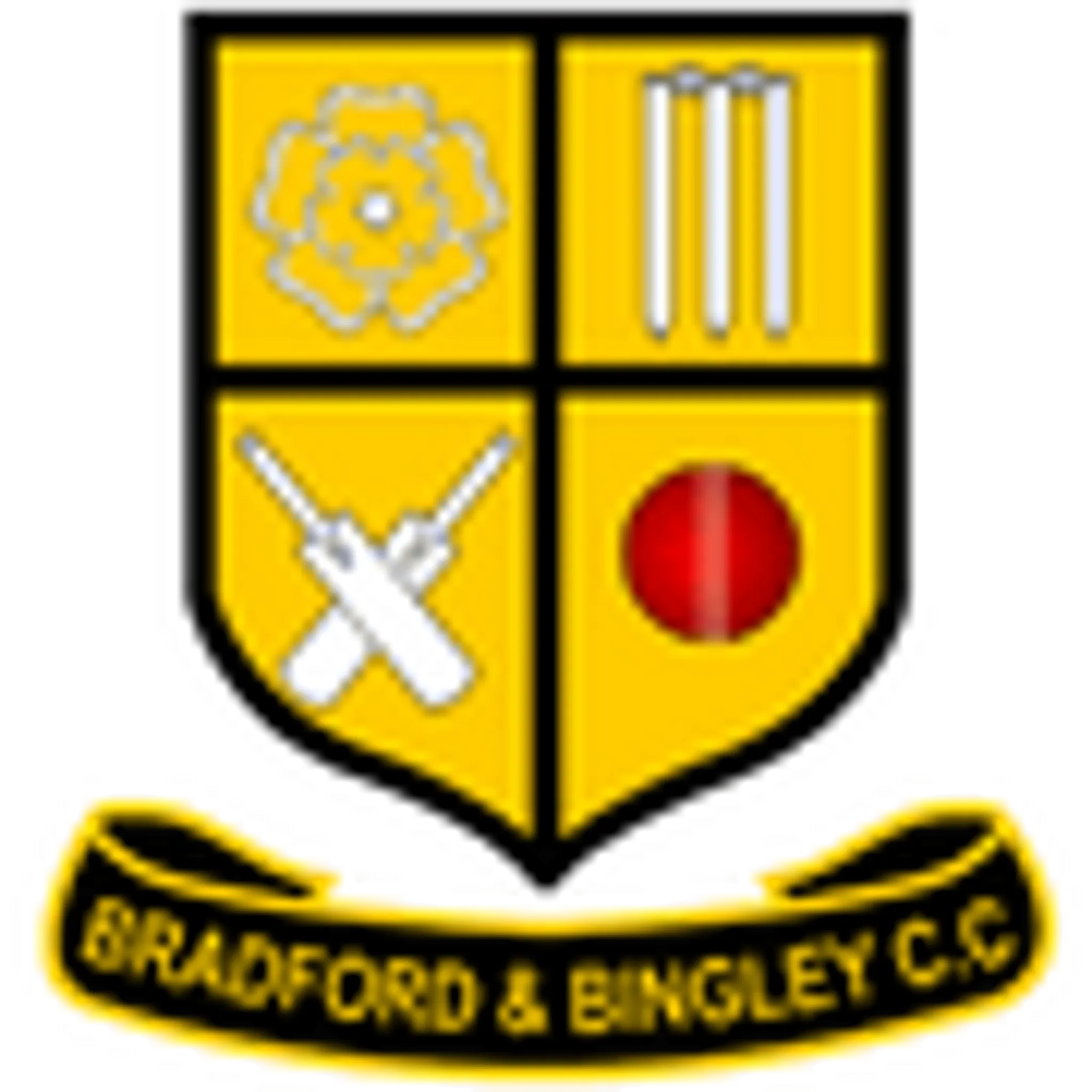 Bradford & Bingley Cricket Club