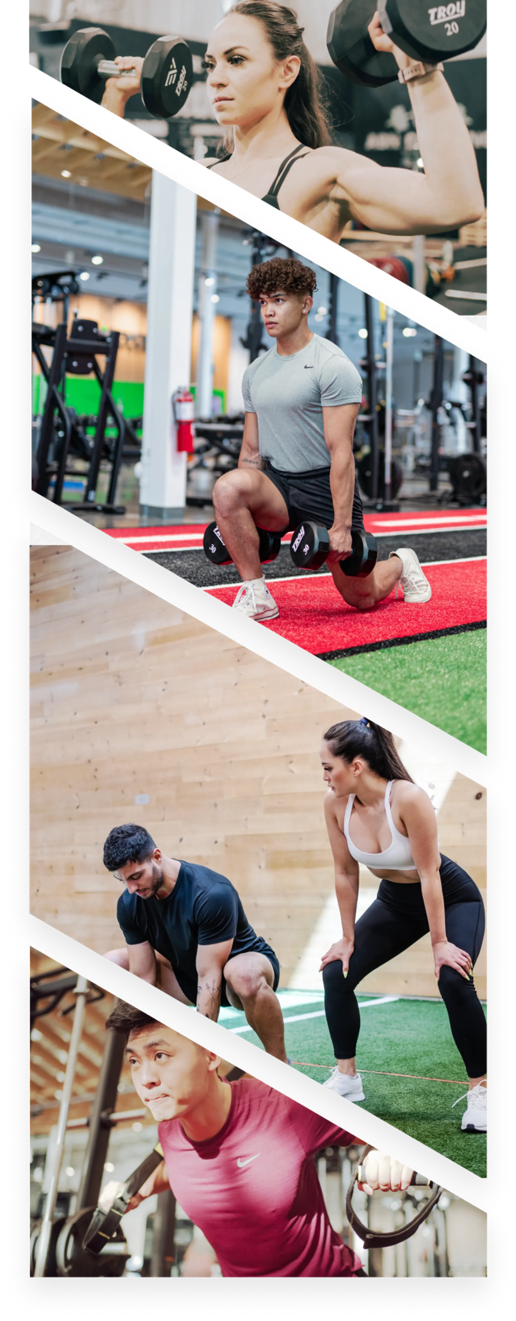 Evolve Strength Sunridge