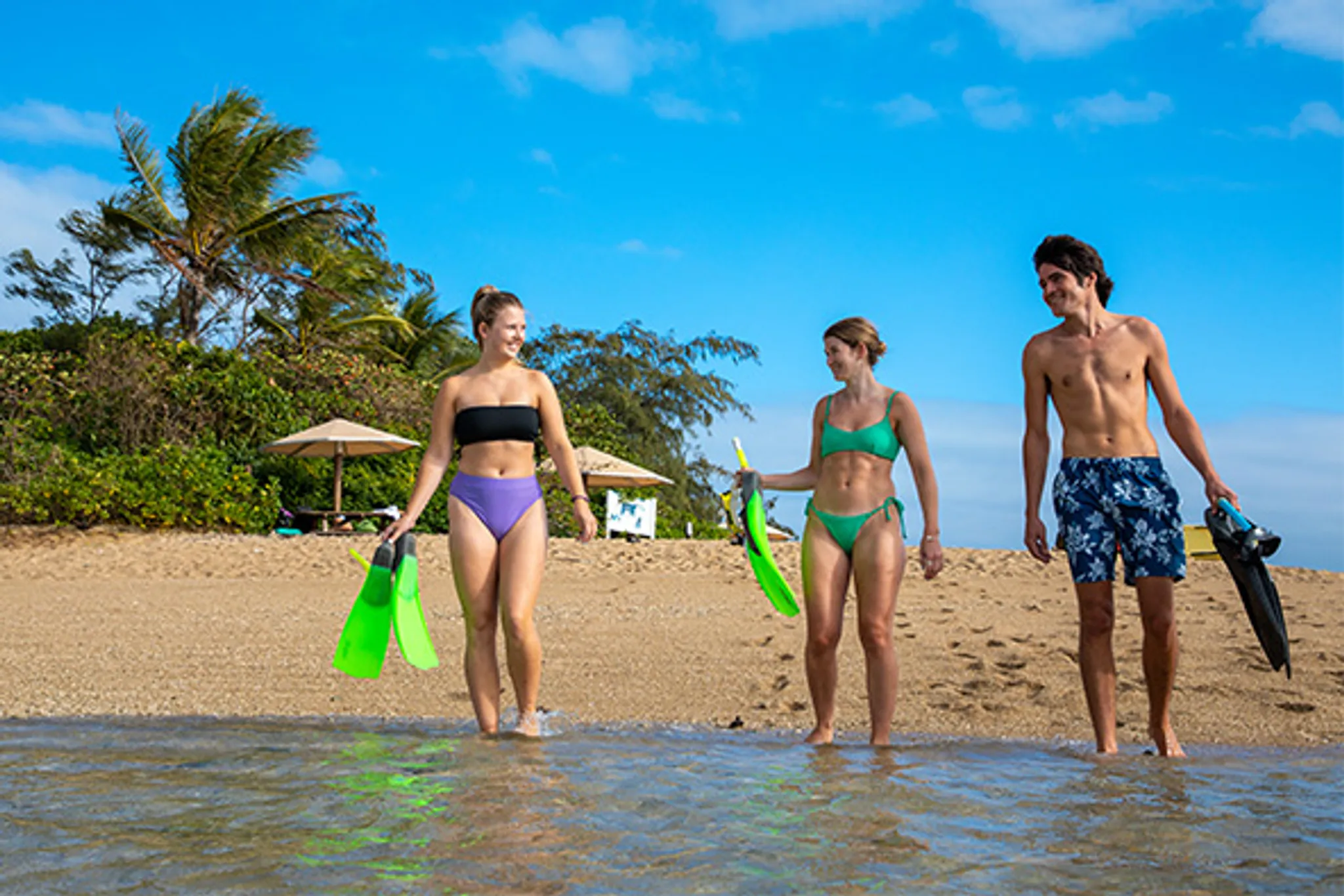 Low Isles Half Day Tour