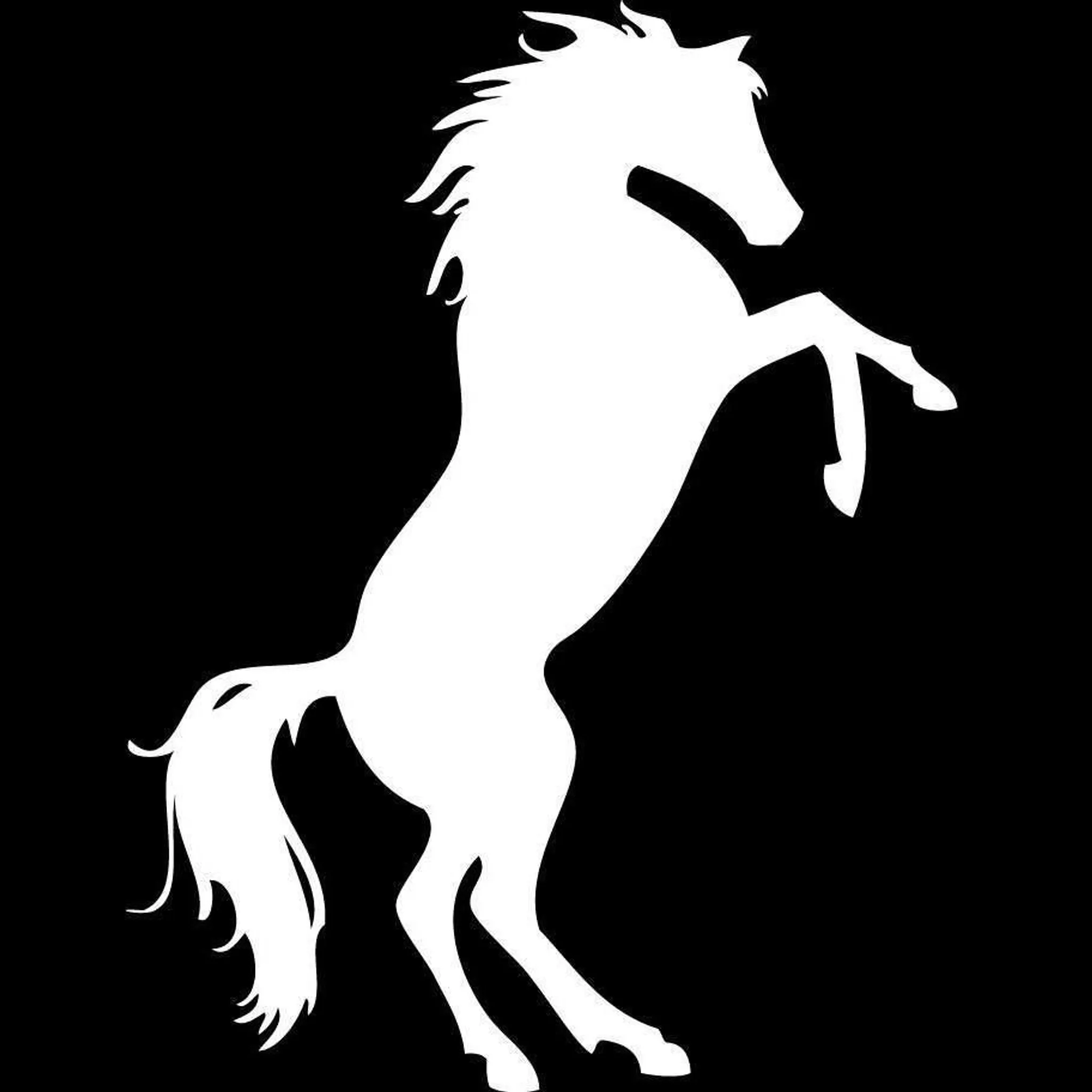 Camille Boudier / Vibraye Equitation