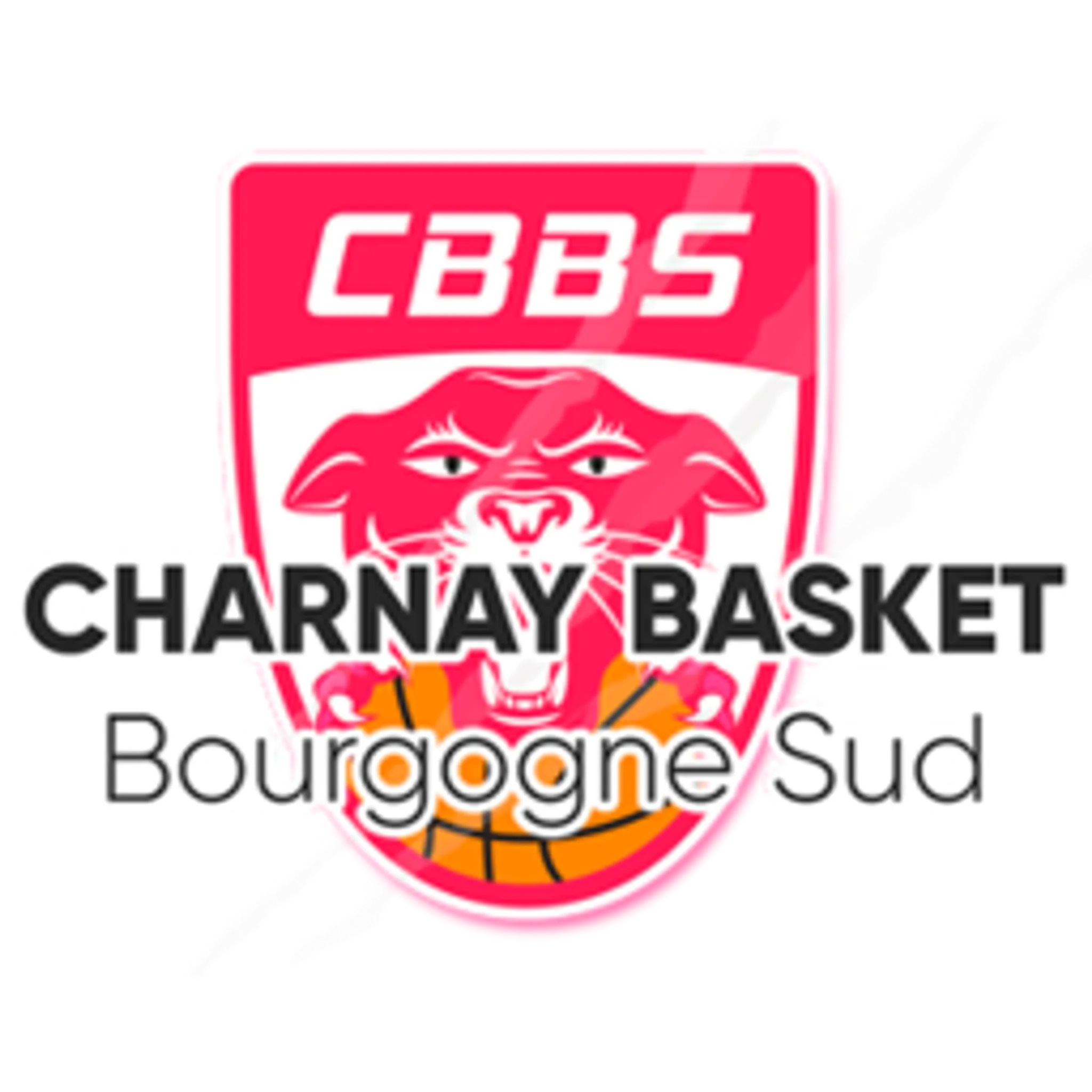 Basketball South Burgundy Charnay