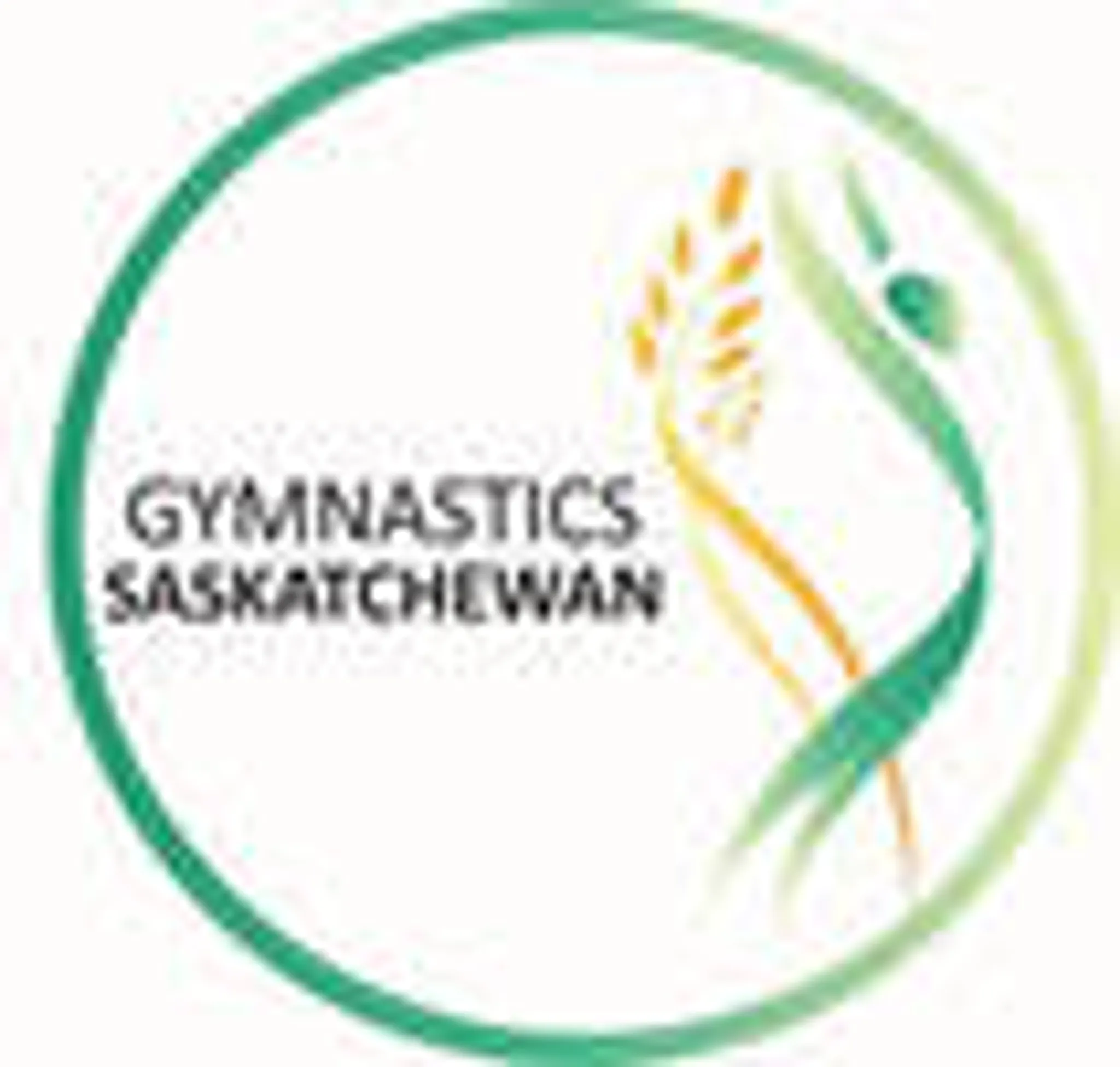 Taiso Gymnastic Club