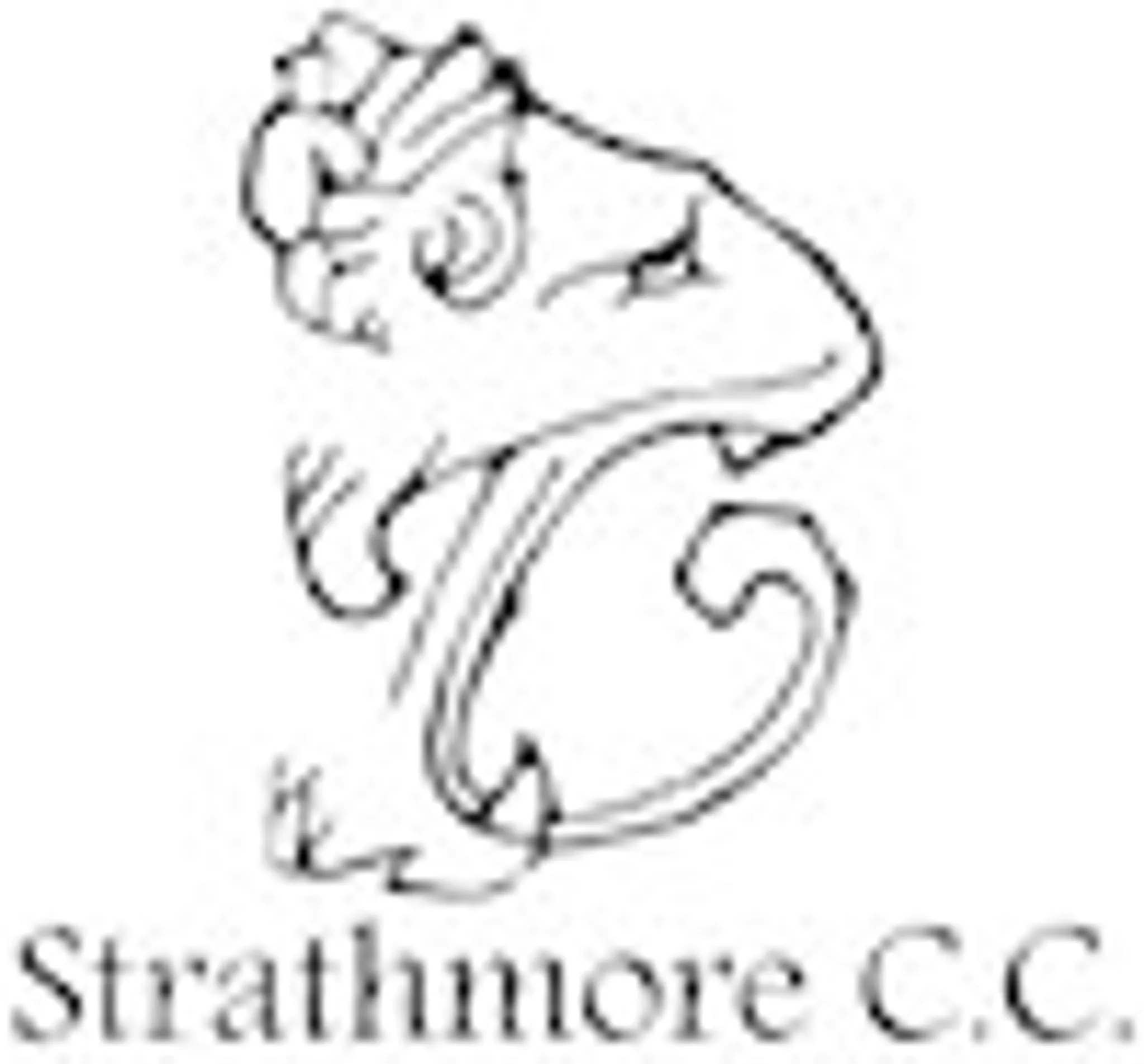 Strathmore Cricket Club