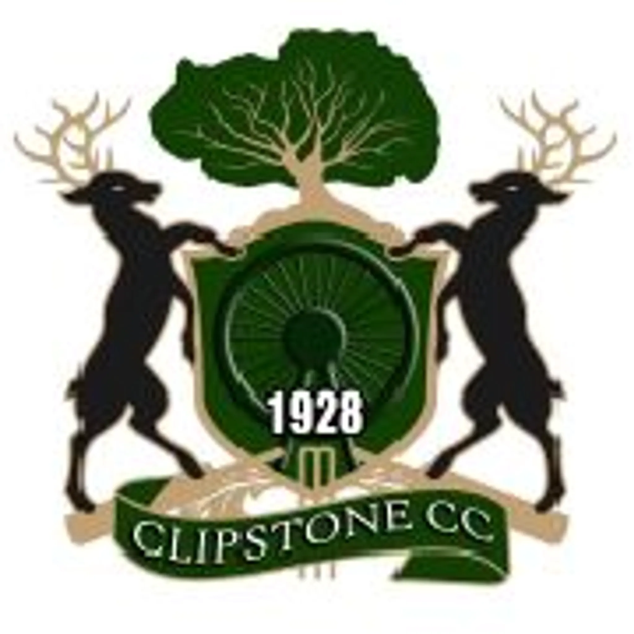 Gedling and Sherwood Cricket Club