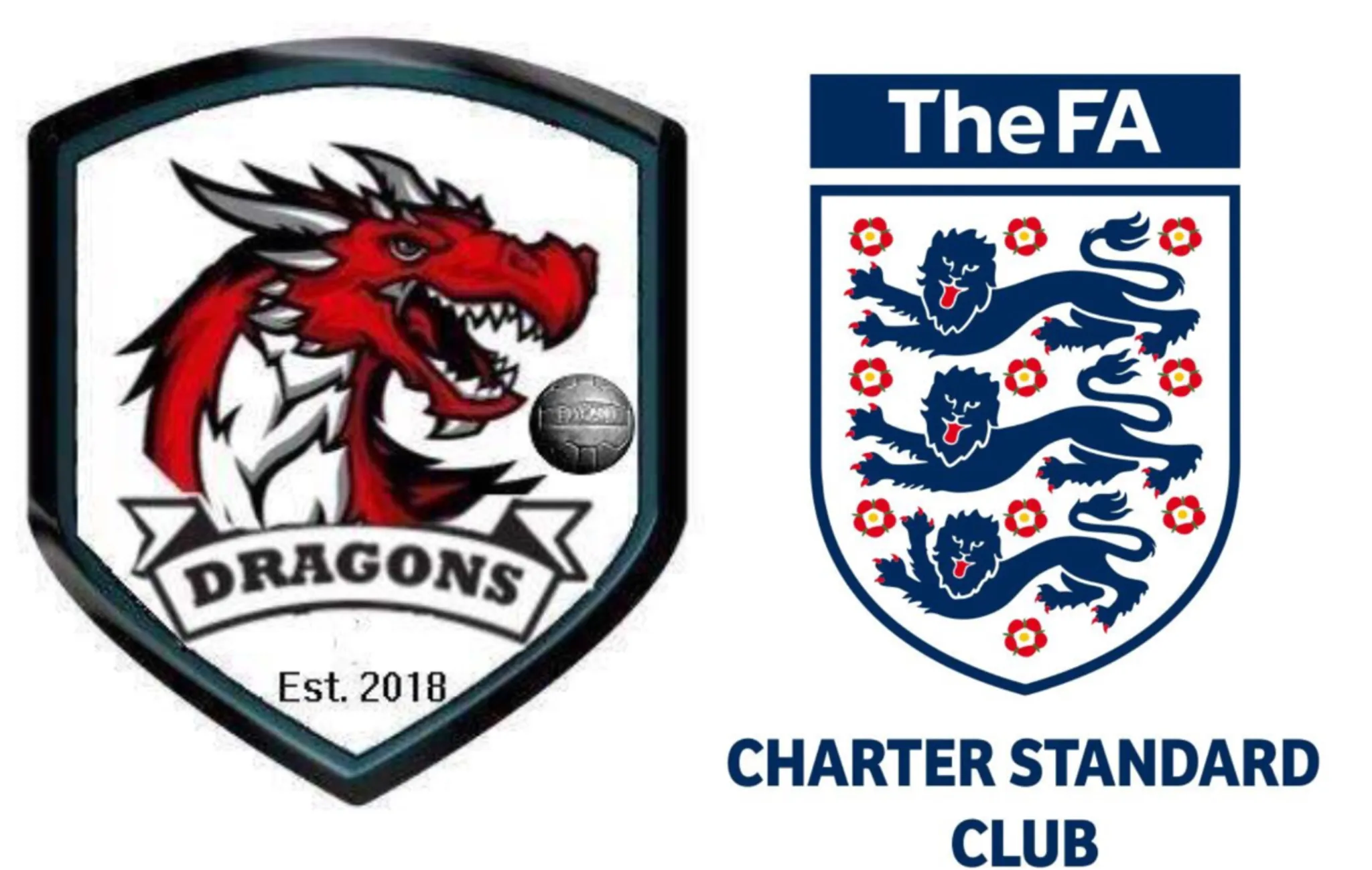 Manchester Dragons