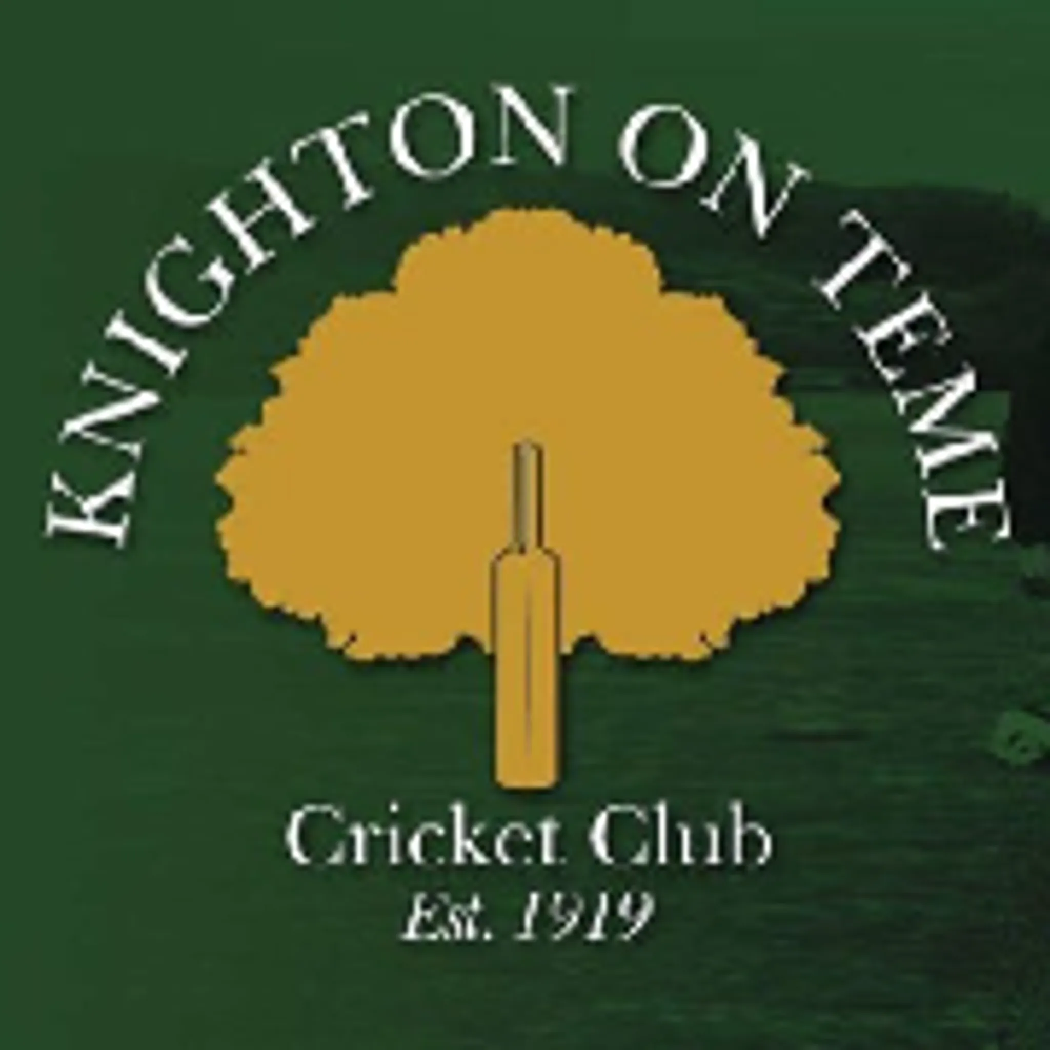 Knighton on Teme Cricket Club