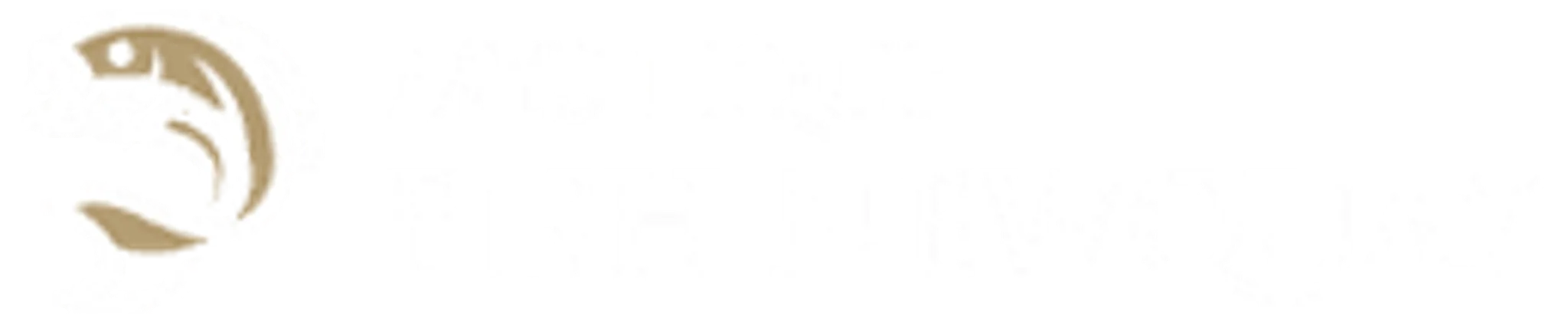 Fish Newquay - Mystique