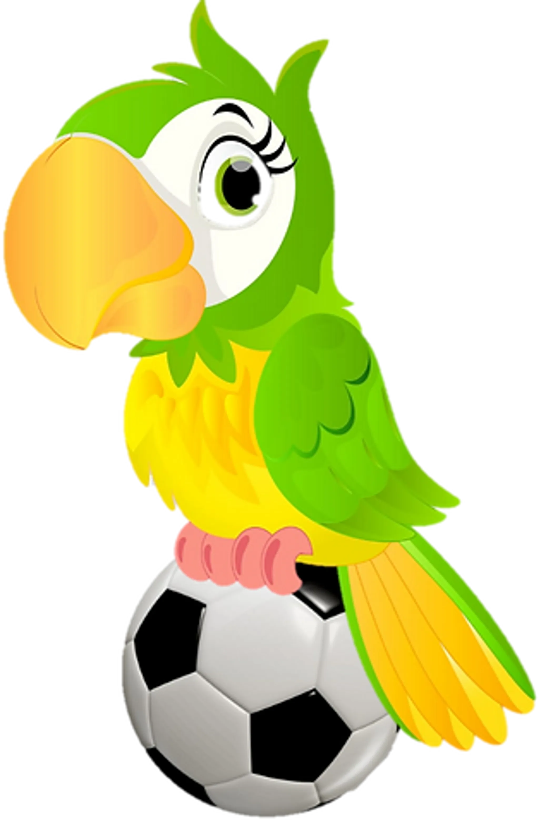 Twickenham Parakeets FC