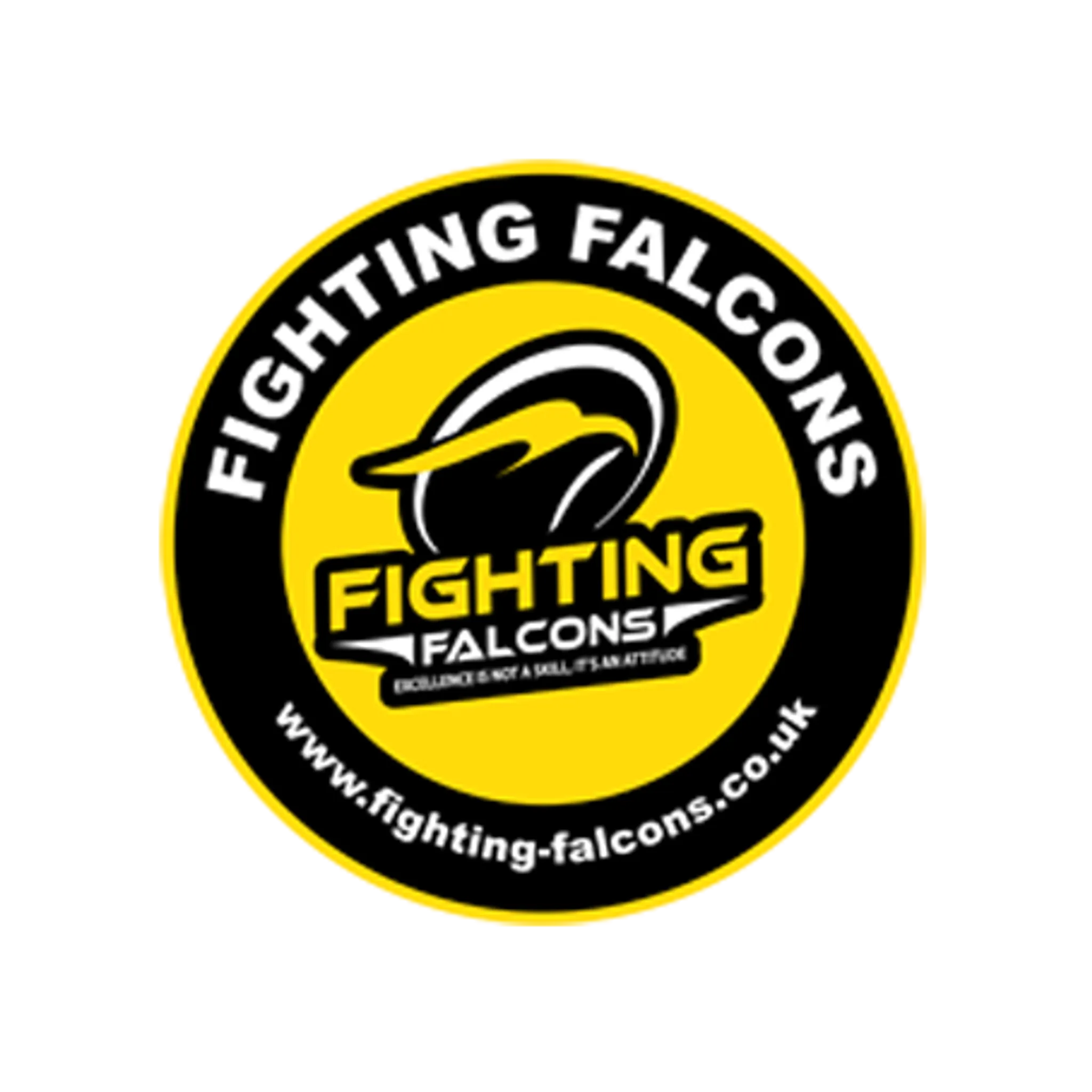 Fighting Falcons School of Martial Arts