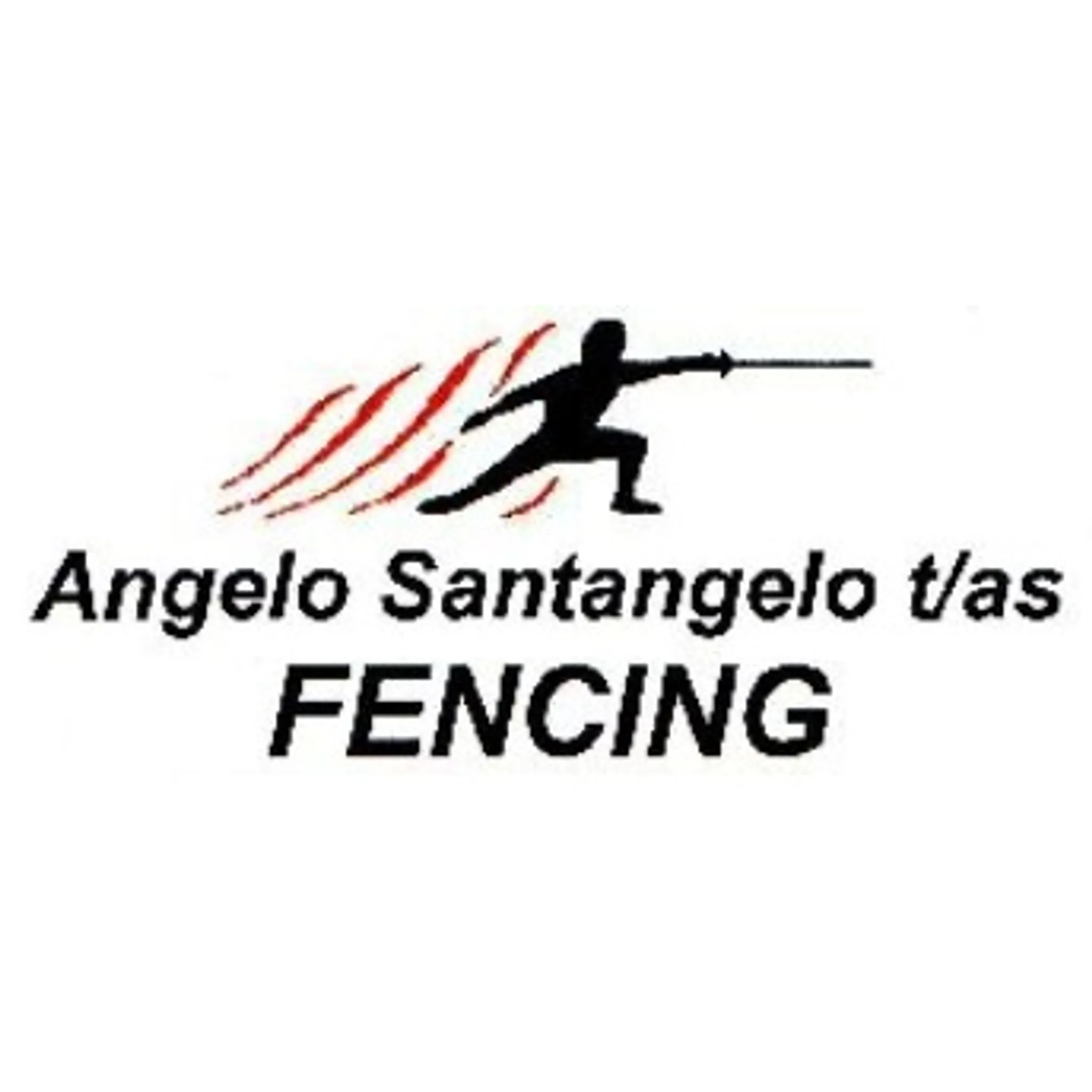 Fencing Academy of Arm's
