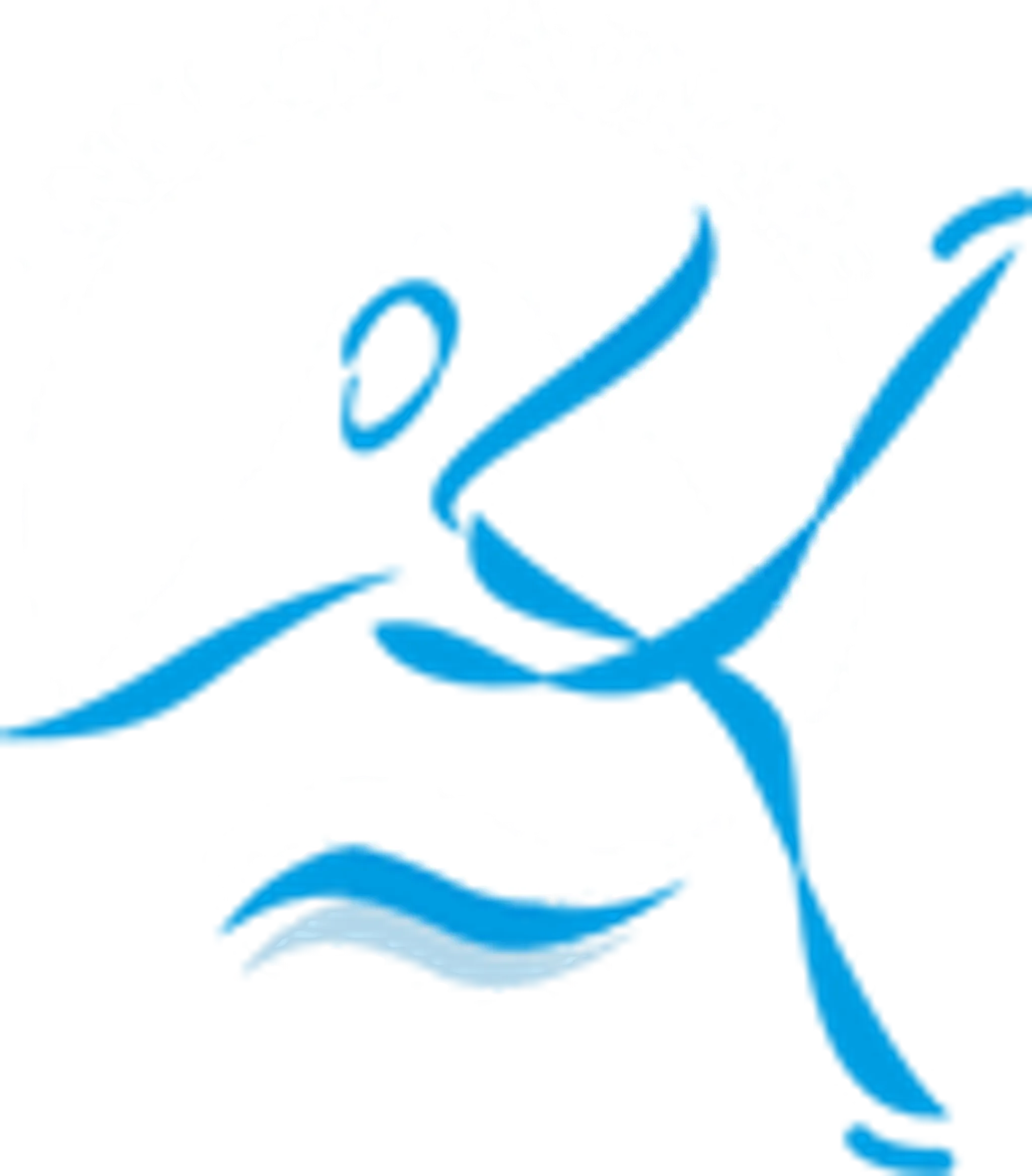 Sga Patinage Artistique