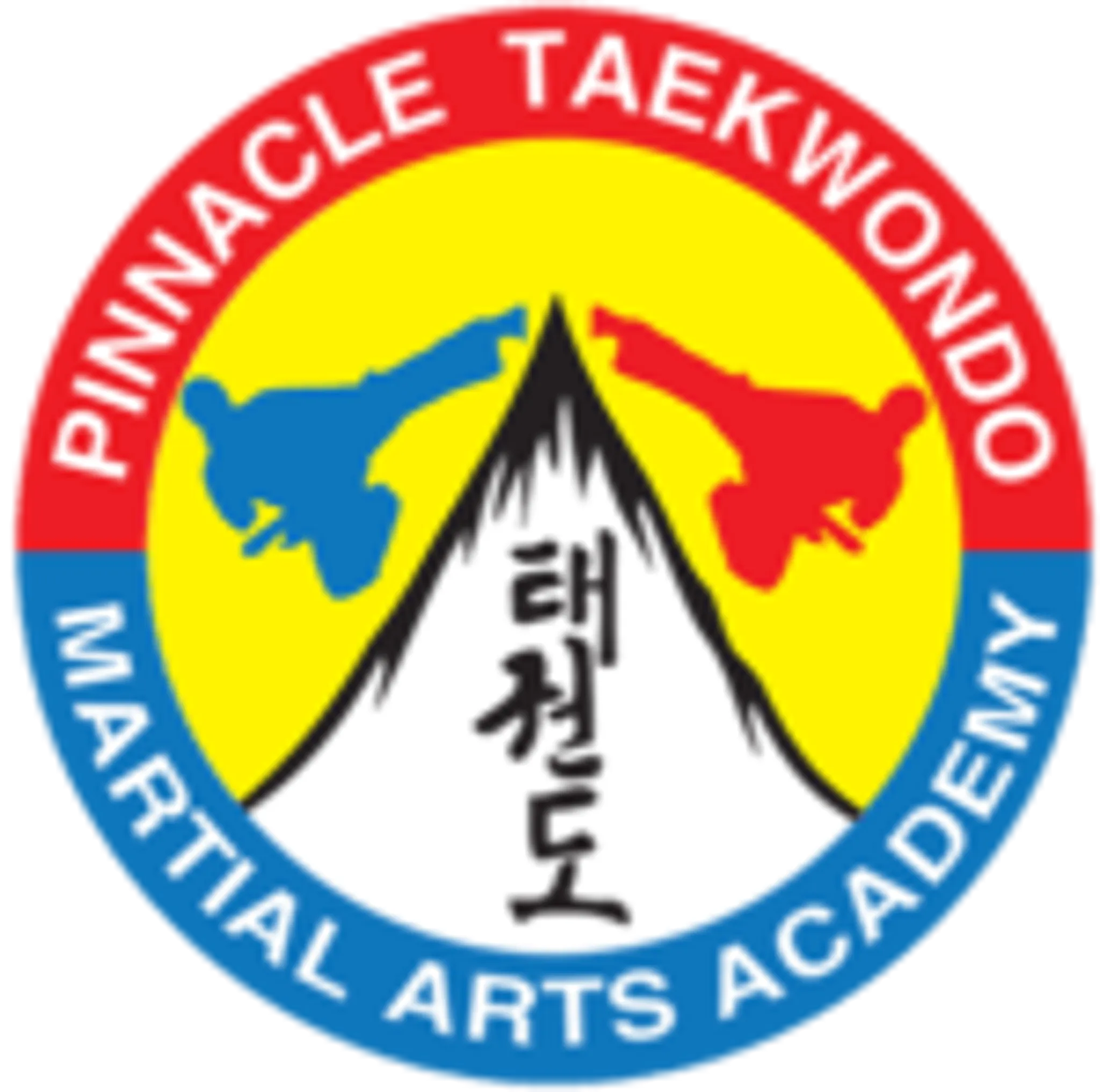 Pinnacle Taekwondo Martial Arts In Earlwood for kids, teens and adults
