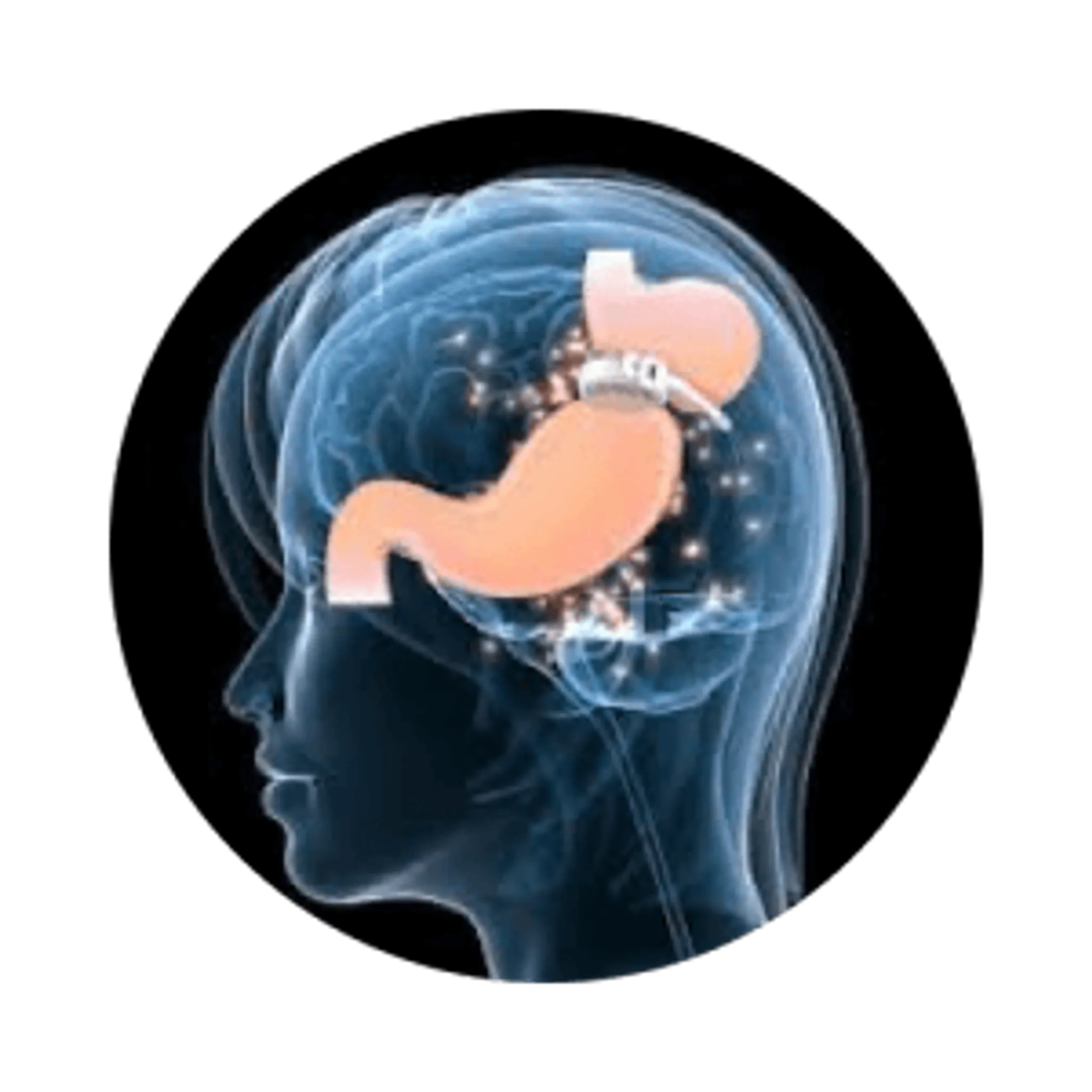 Holistic Health & Fitness Coaching