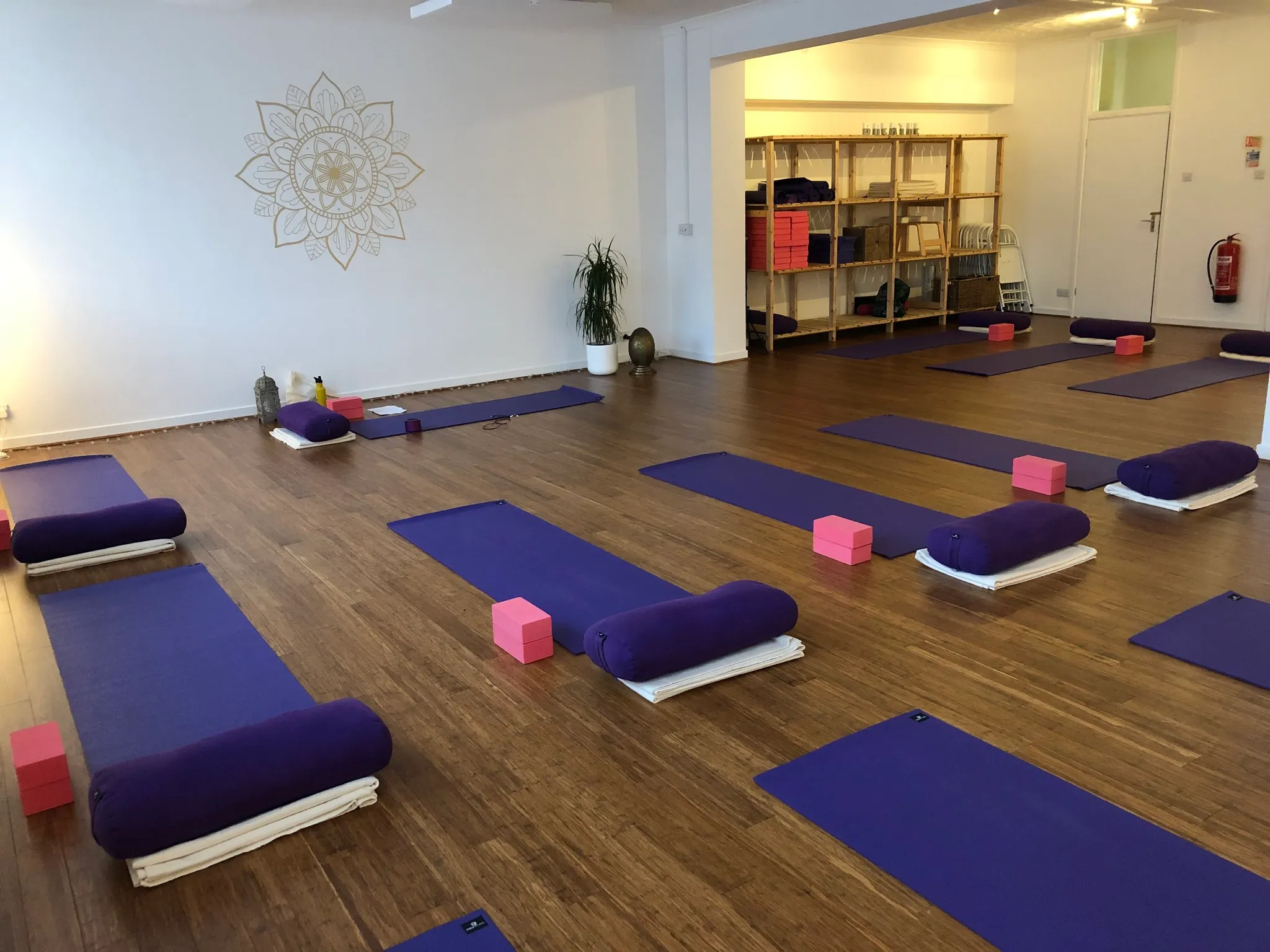 Yoga Fundamentals Programme