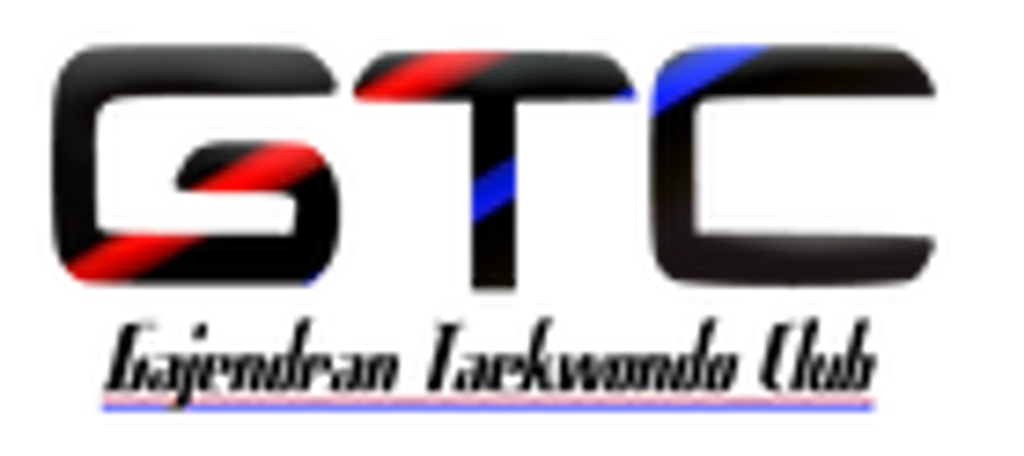 GTC Tae Kwon Do Club