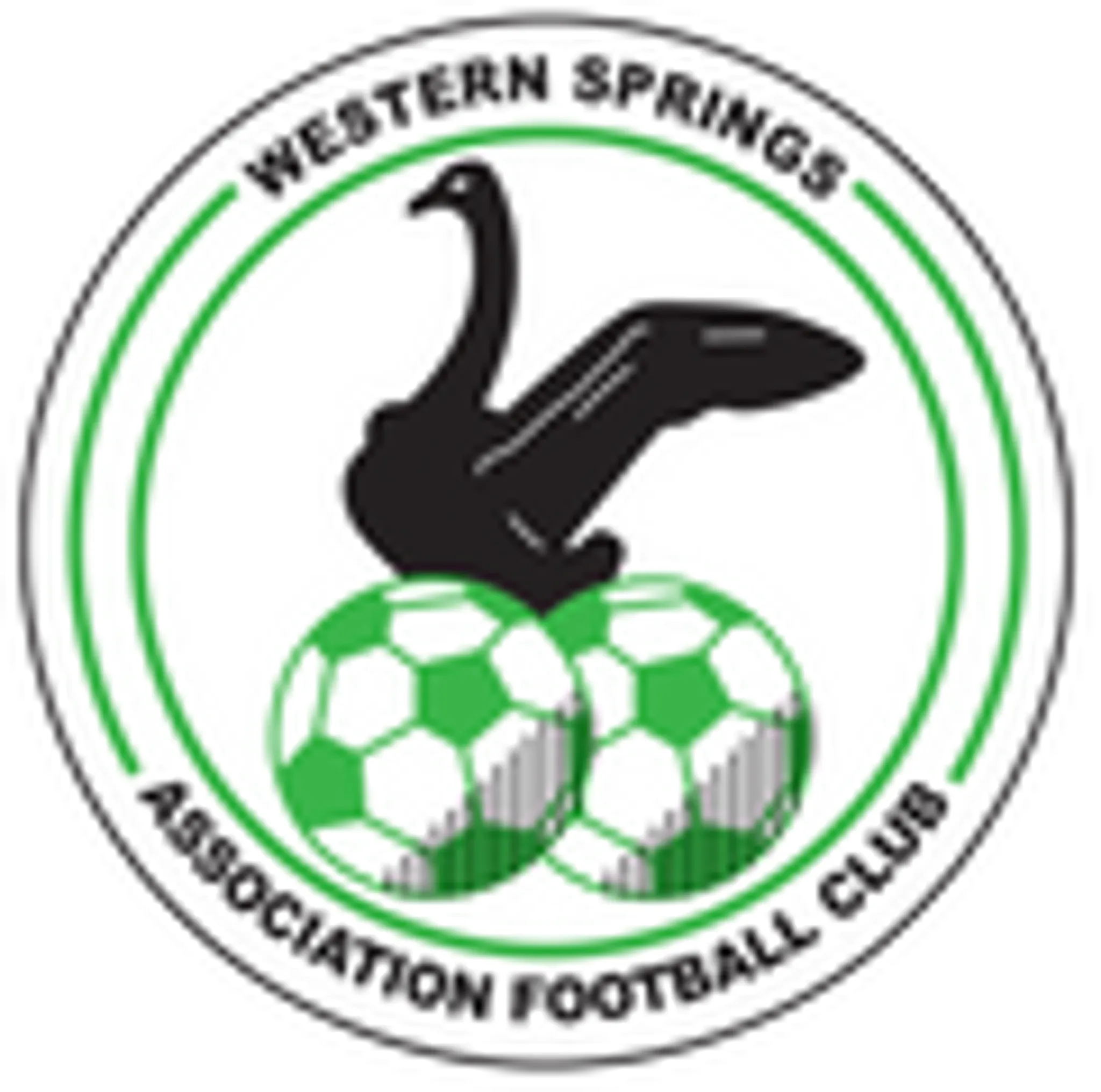 Western Springs Association Football Club