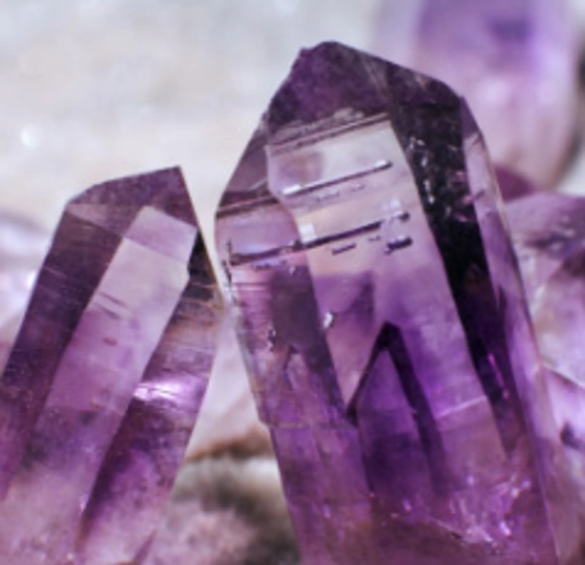 World Nam Wah Pai Association- Qigong, Tai Chi & Martial Arts